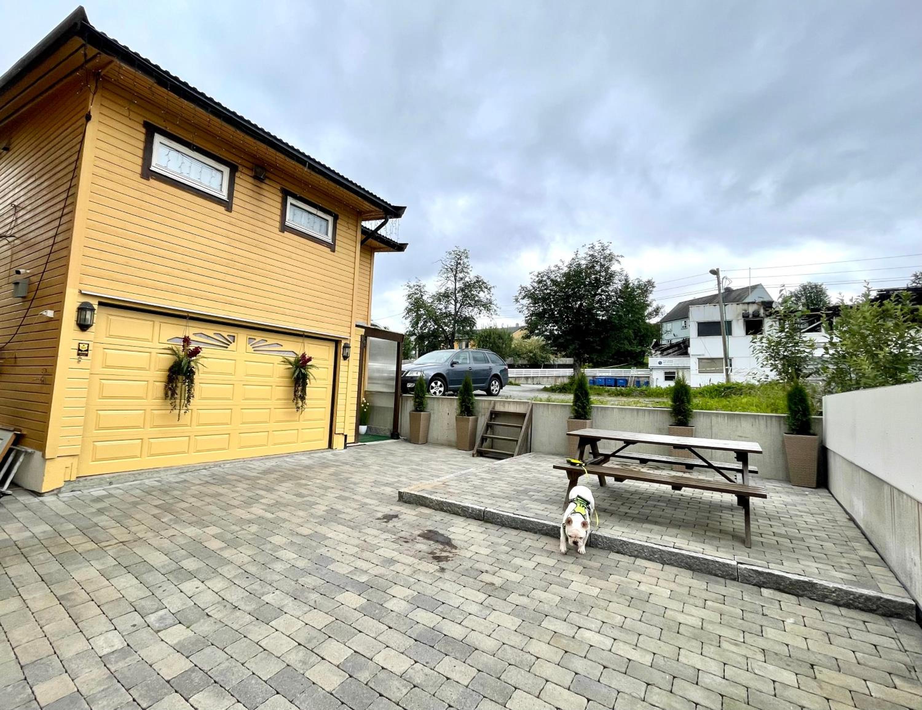 Photo 23