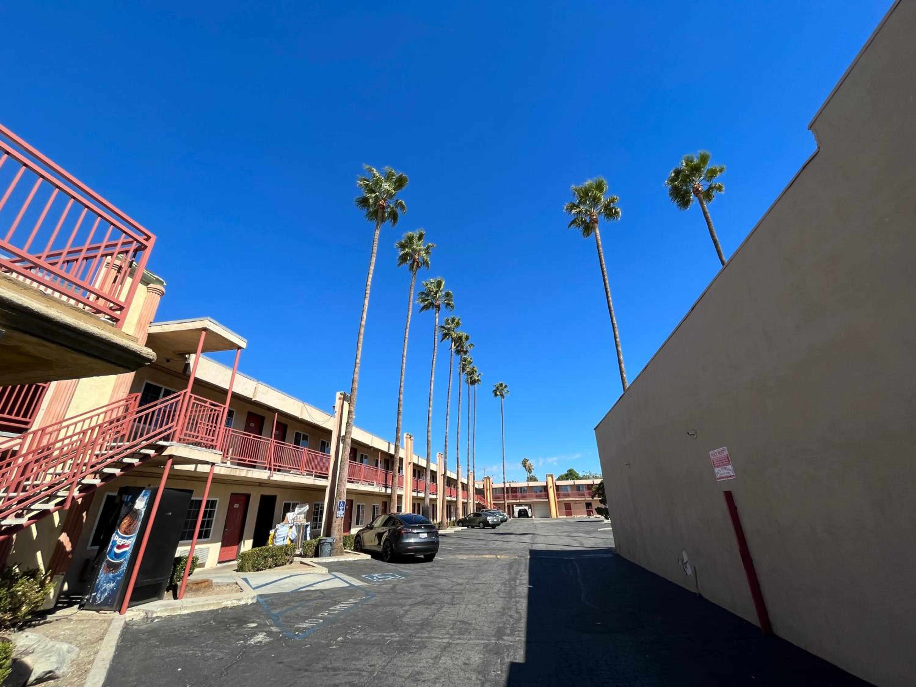 Palm Tree Inn - Property Image 4