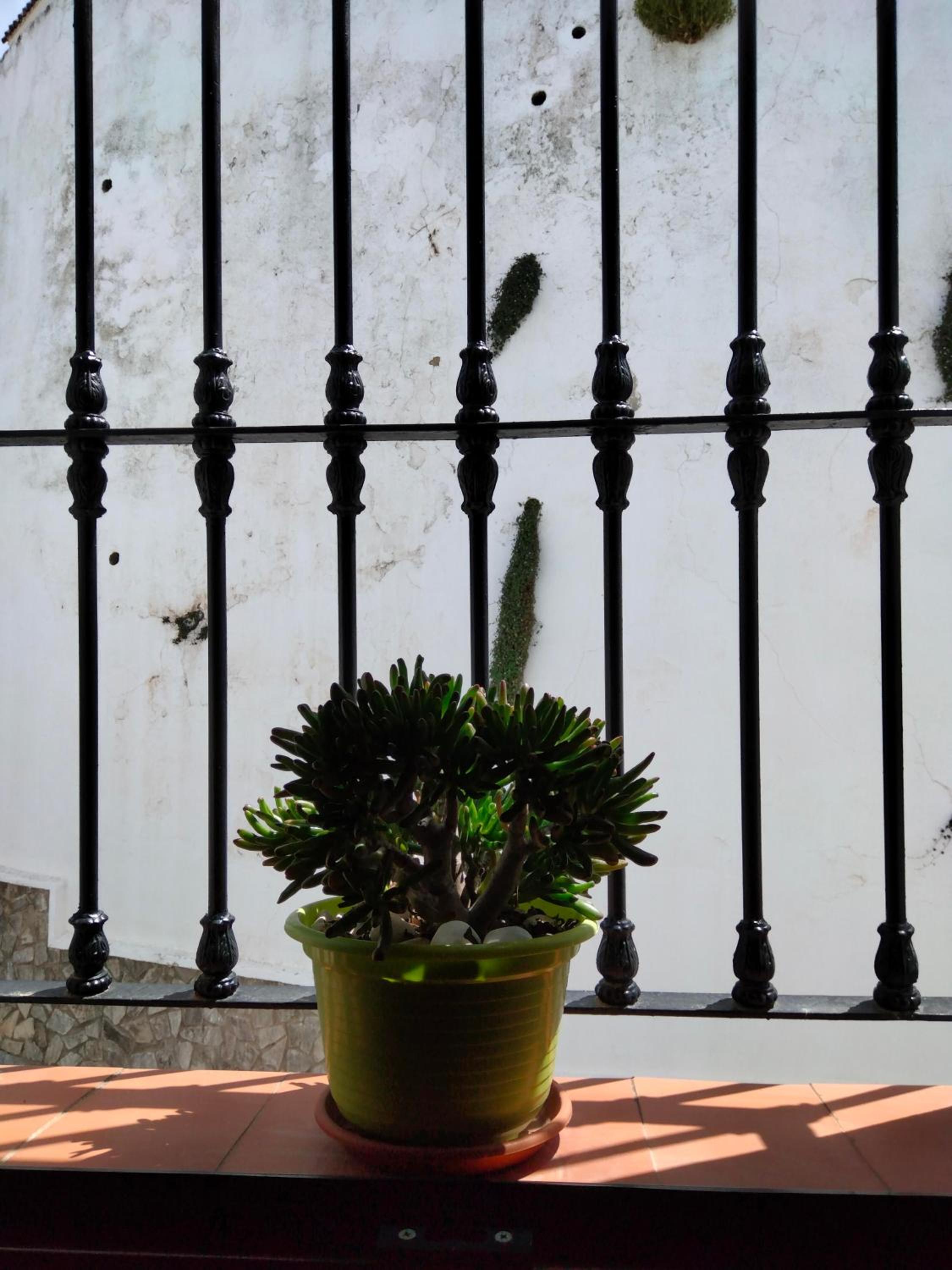 Casa Vista