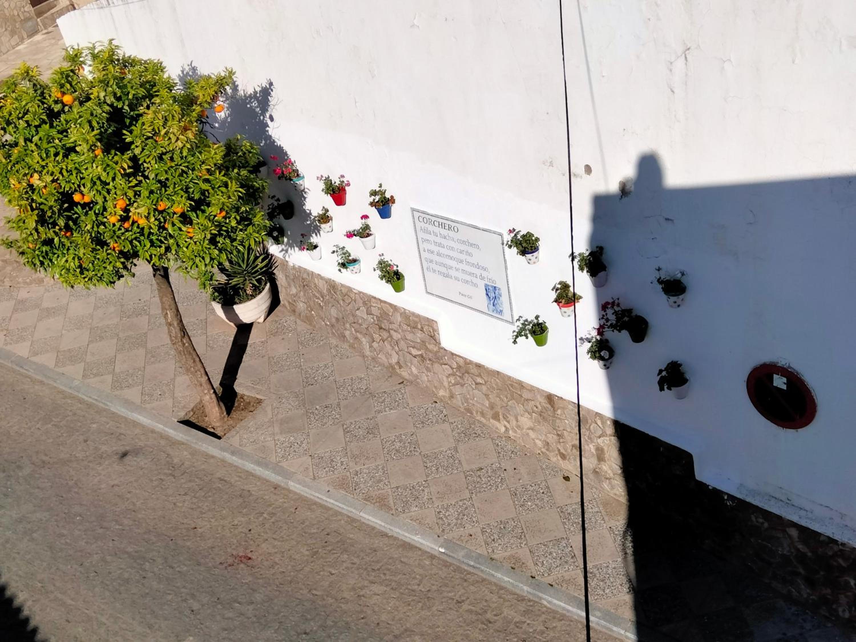 Casa Vista