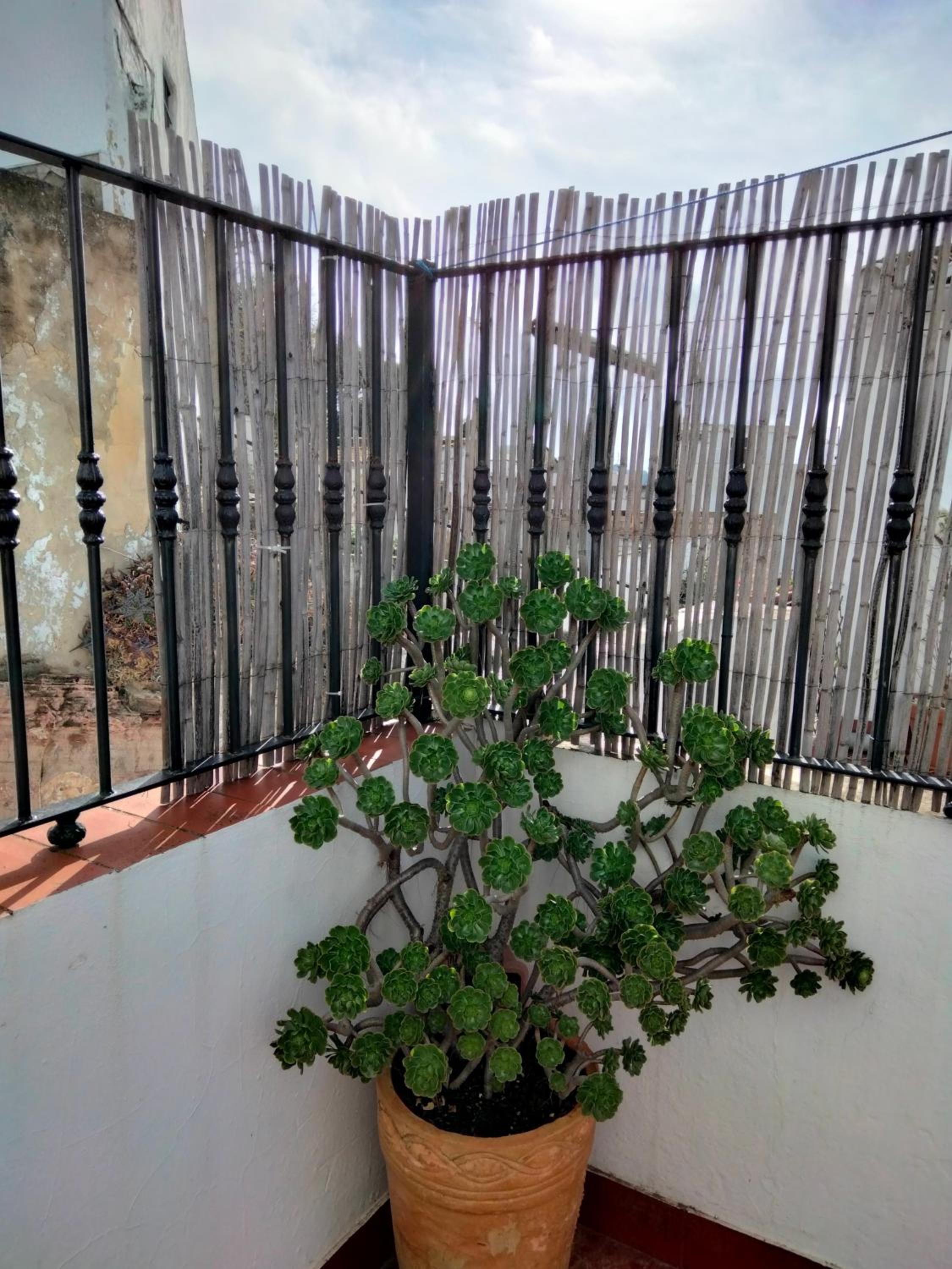 Casa Vista