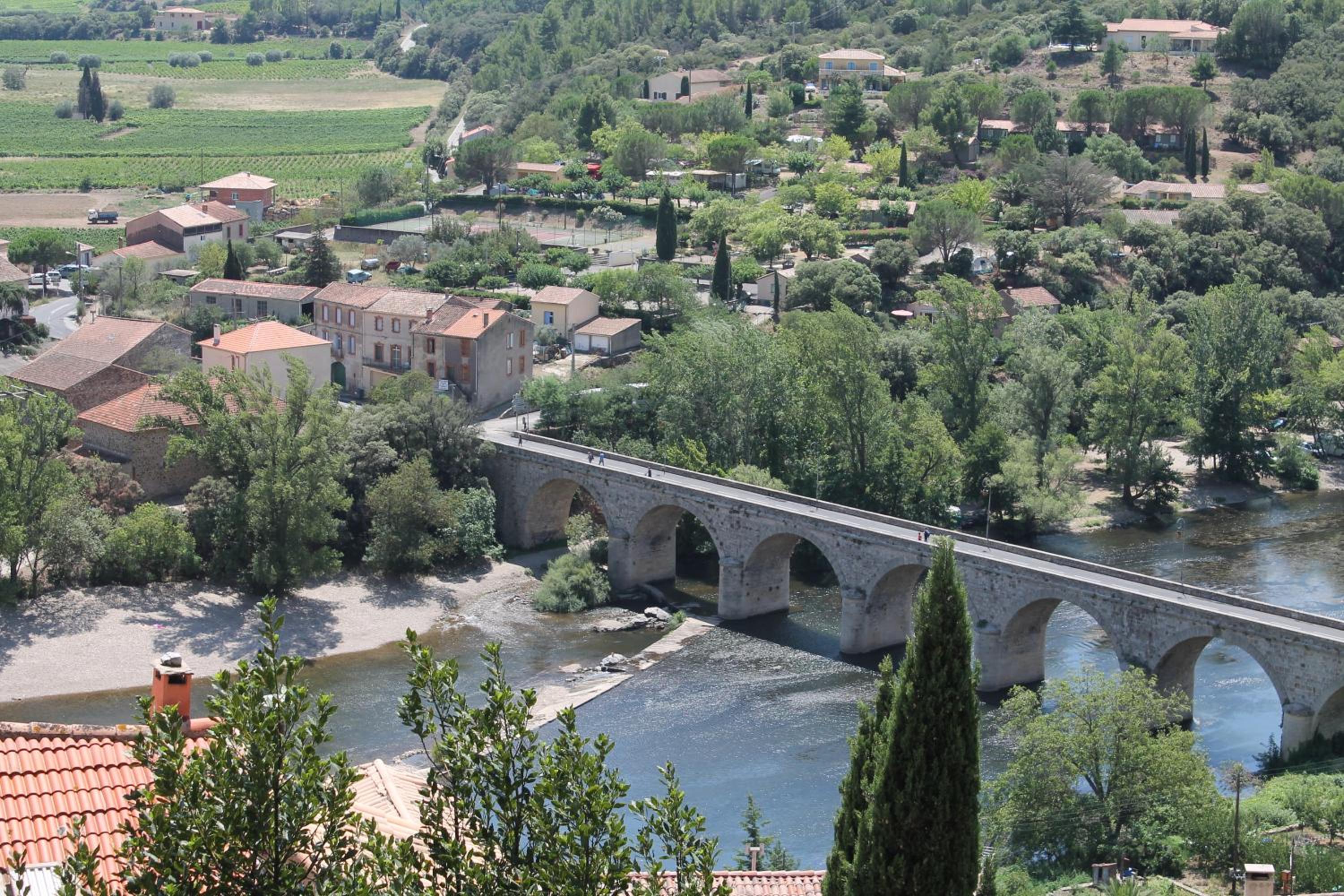 Photo 41