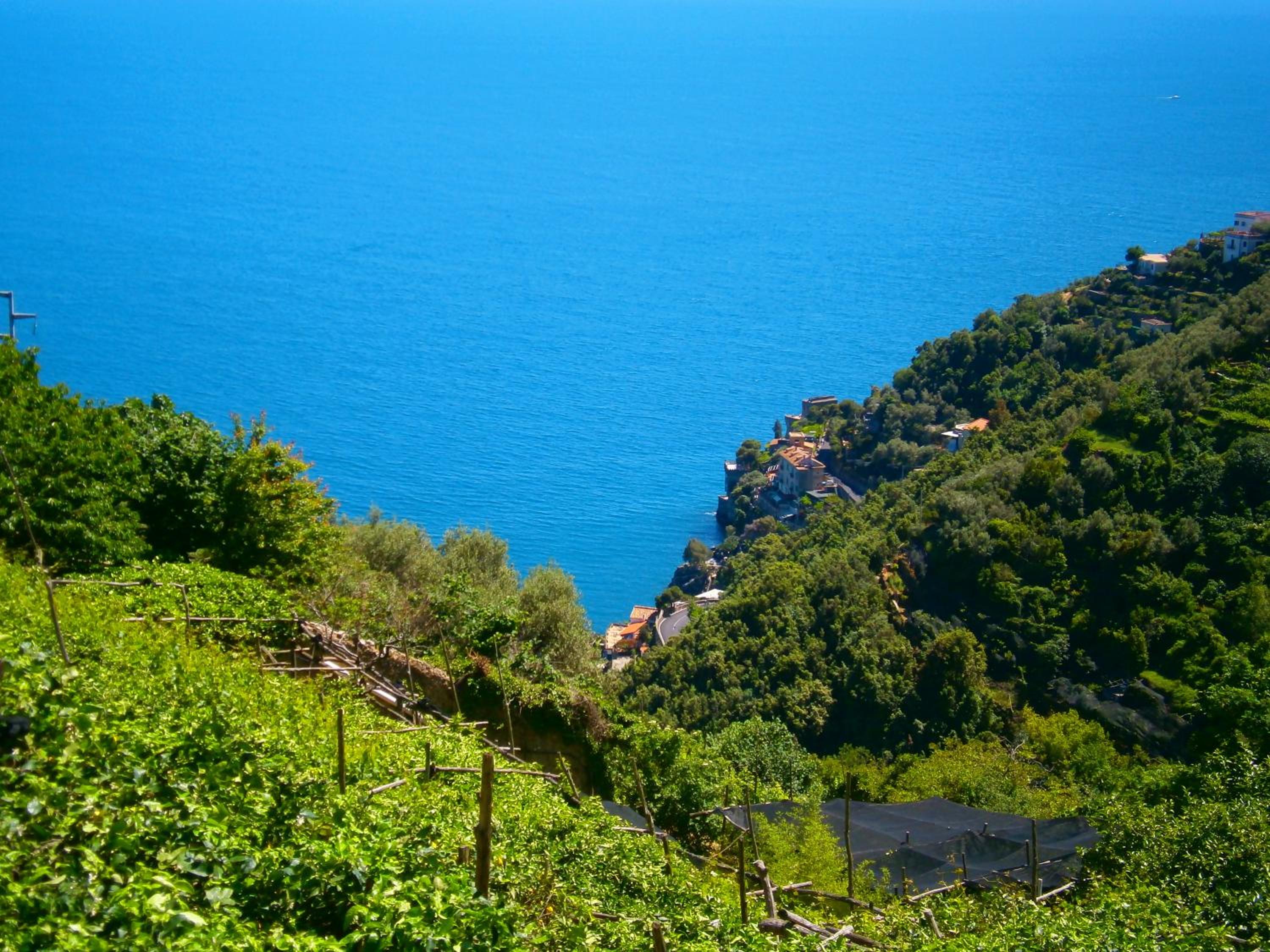 Villa En Rose view 3