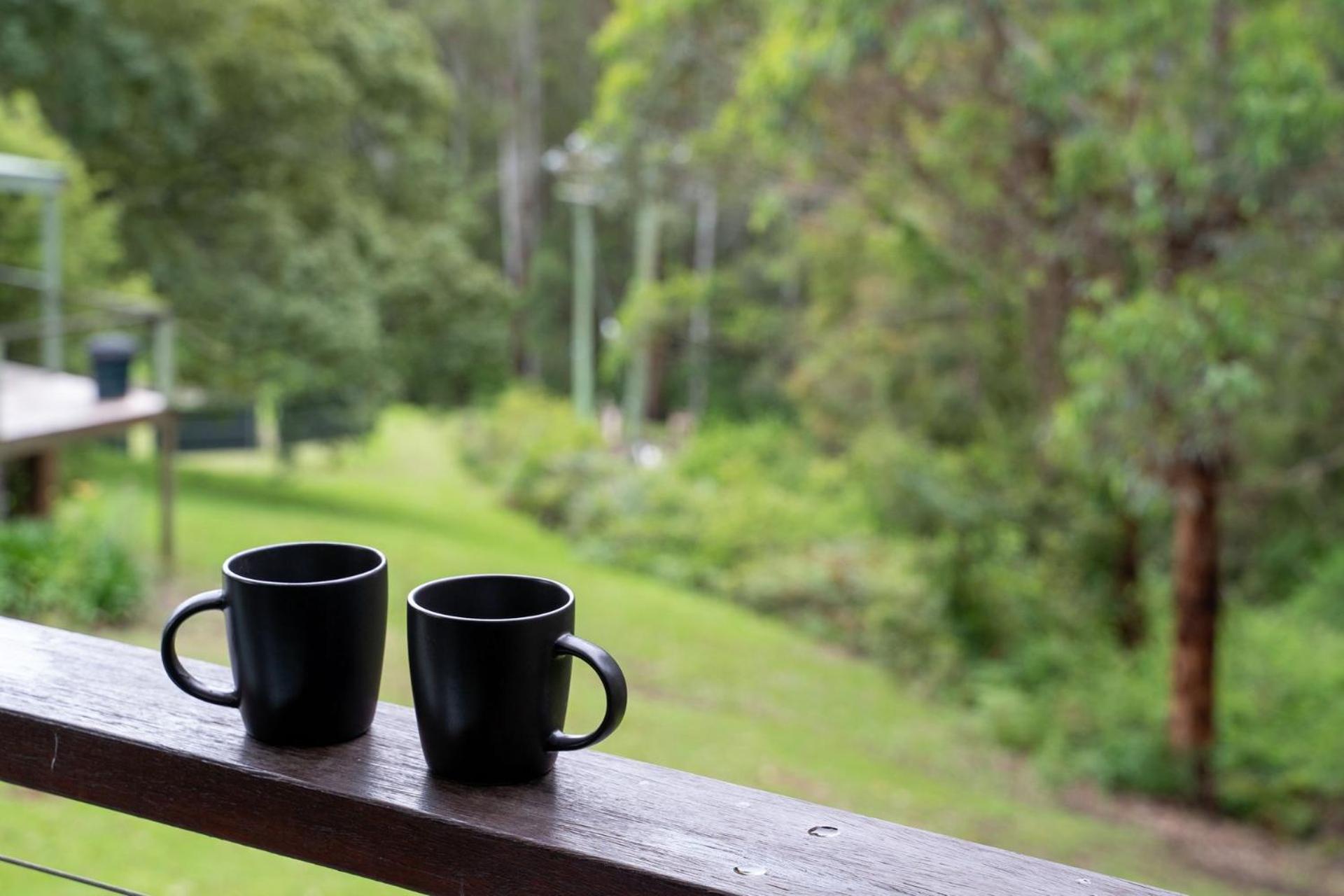 Refreshing Rainforest Retreat Kangaroo Valley