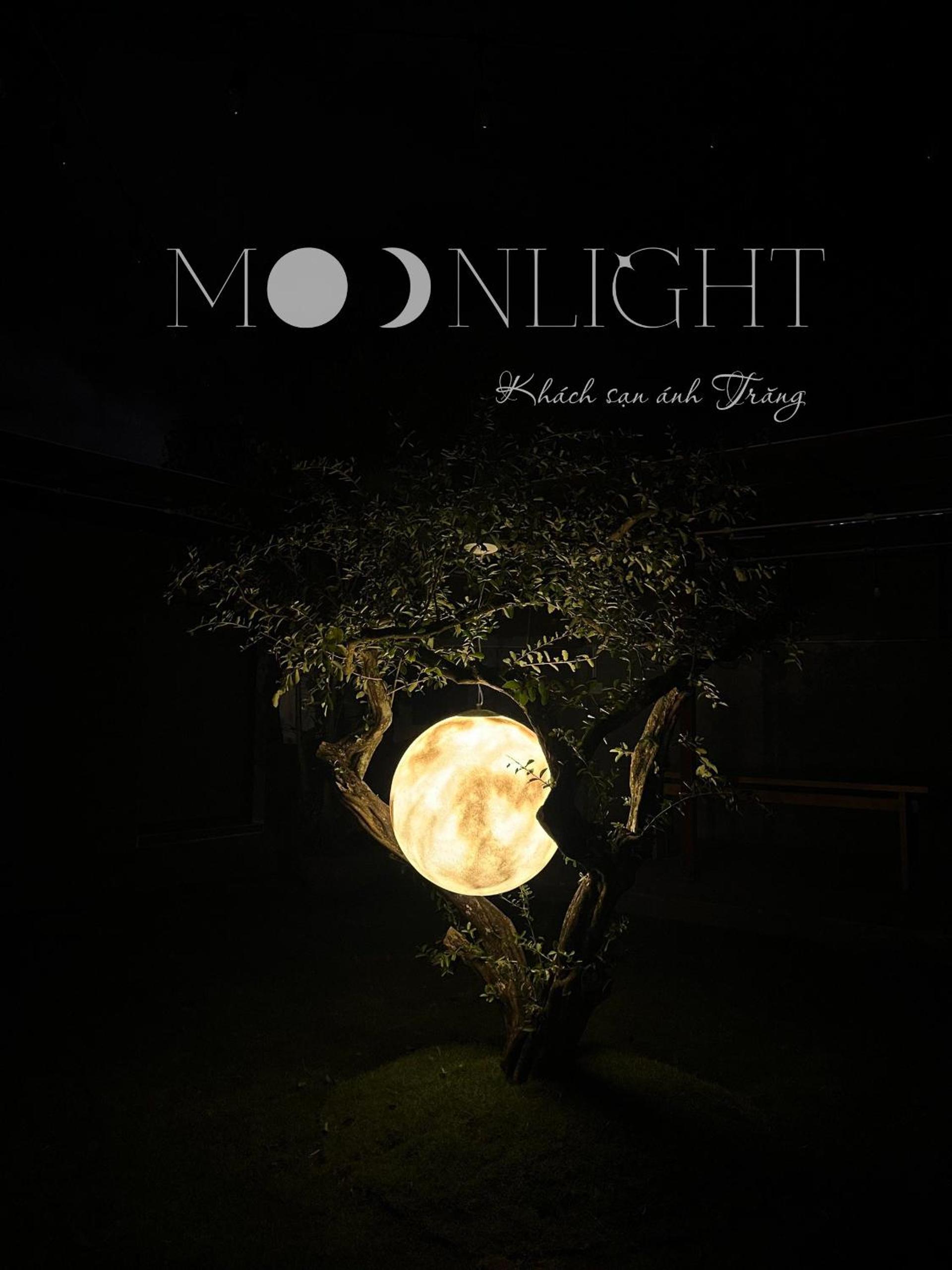 MOONLIGHT Homestay & Hotel