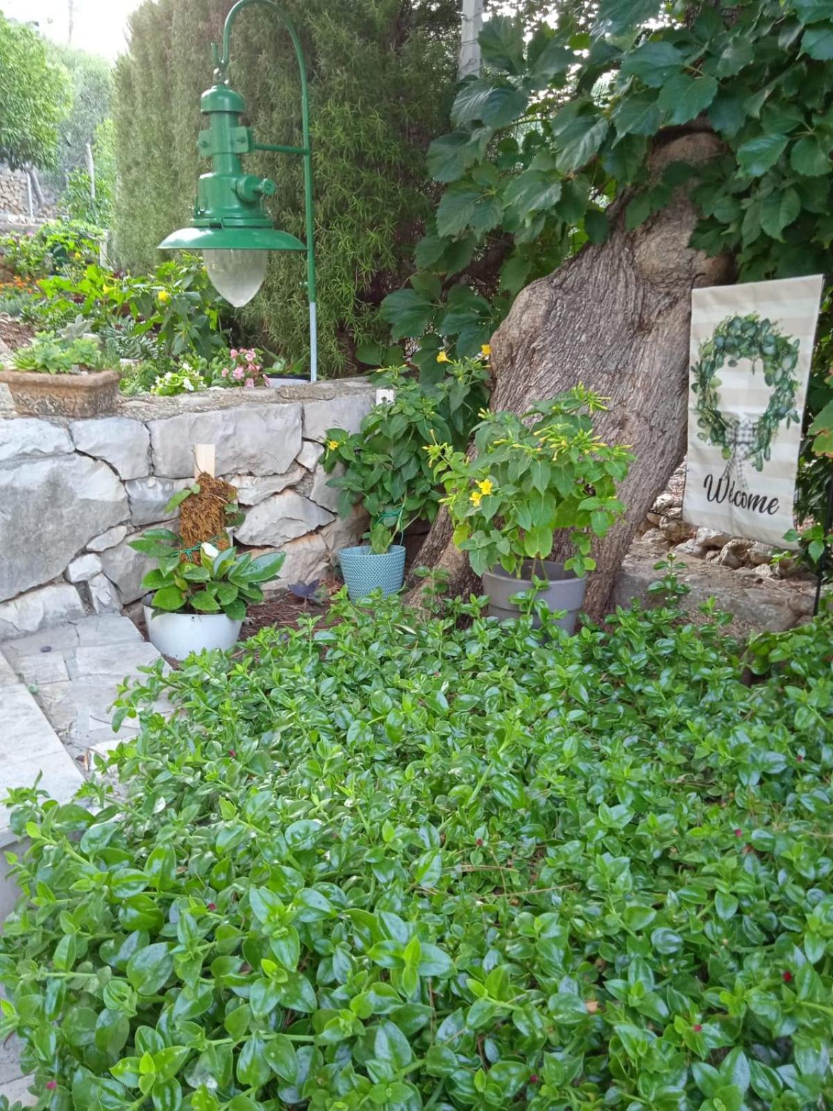 Photo 48