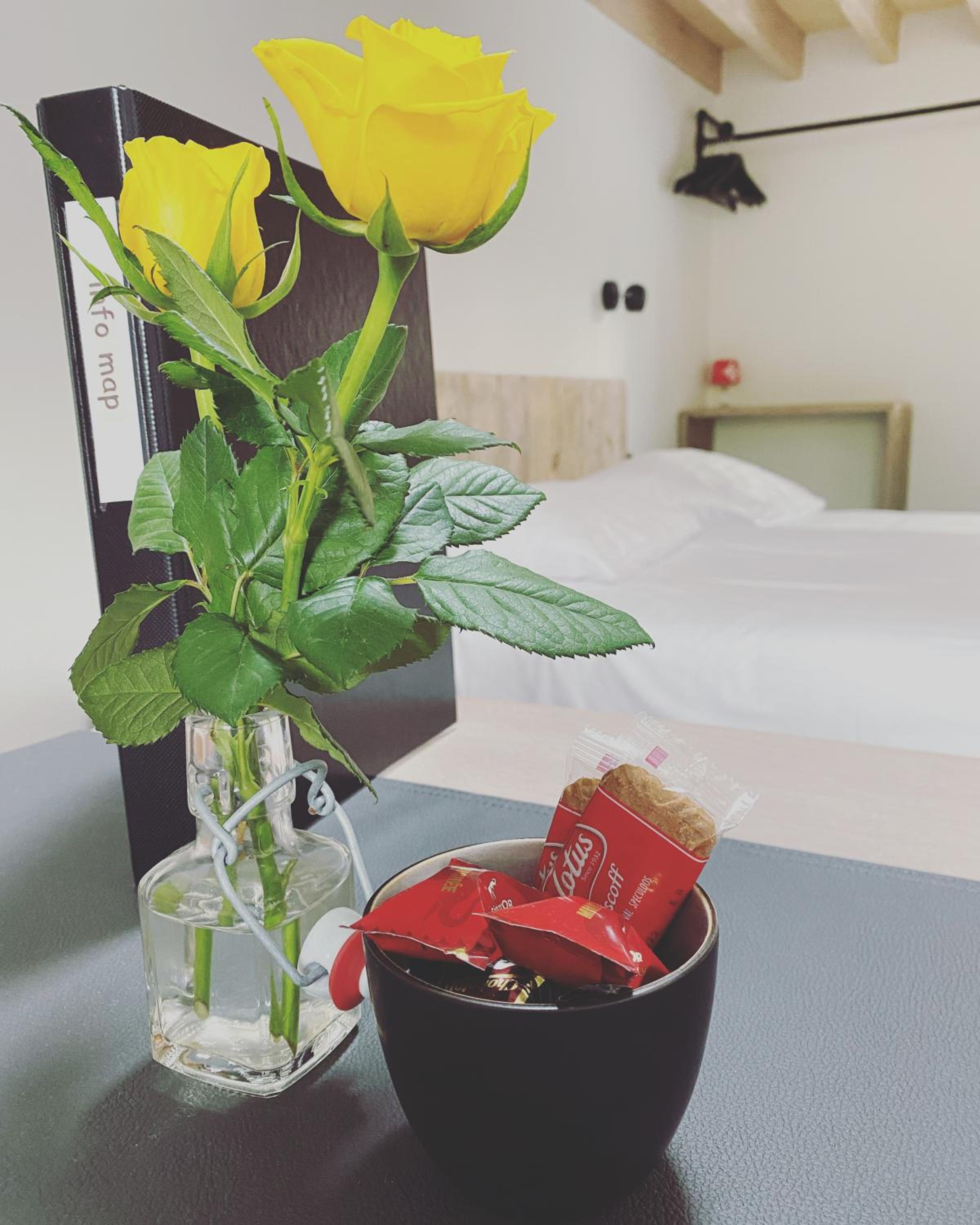 B&B Sint-Mariaburg