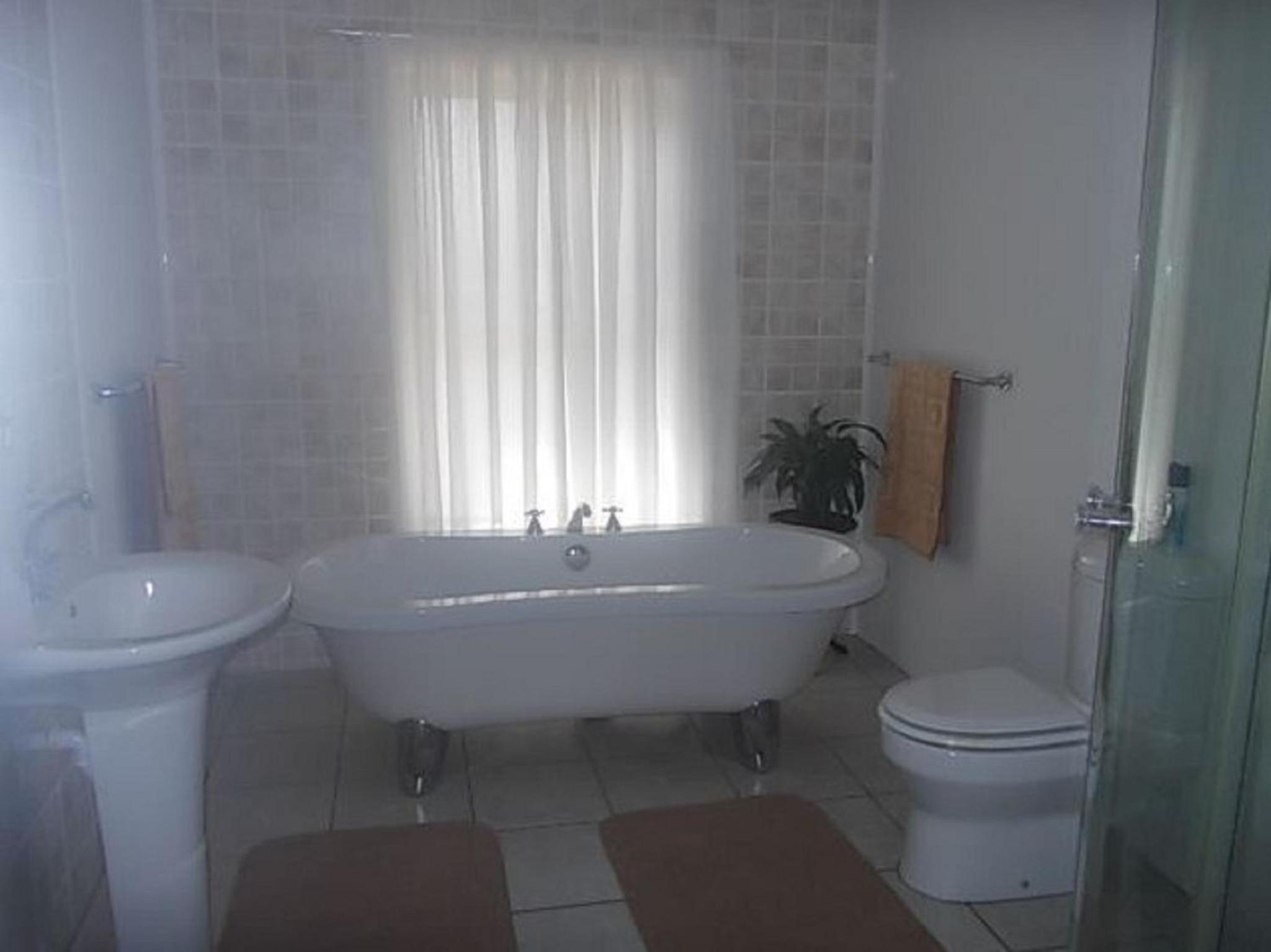 Photo 38