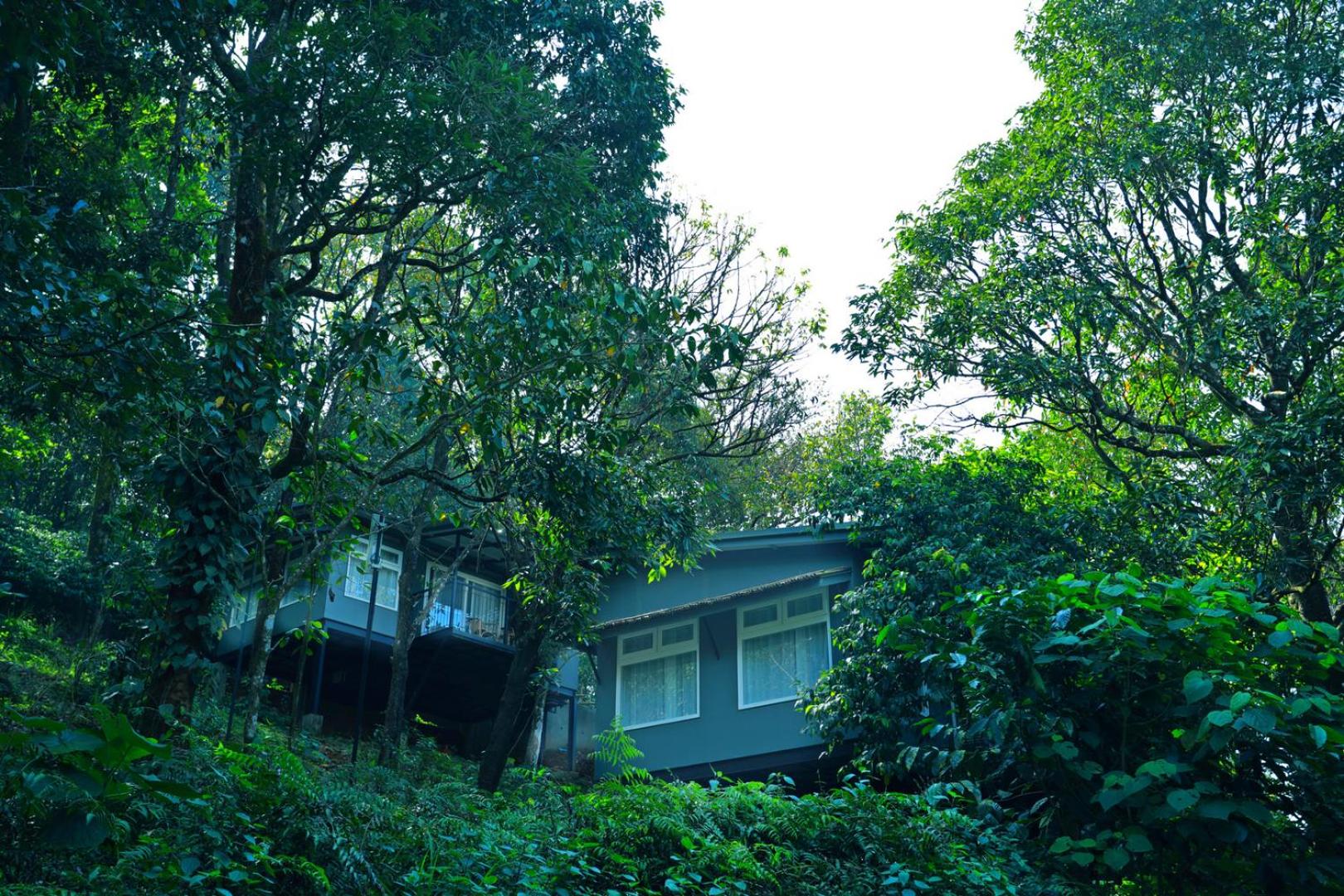 Wayanad Wild - A CGH Earth Experience