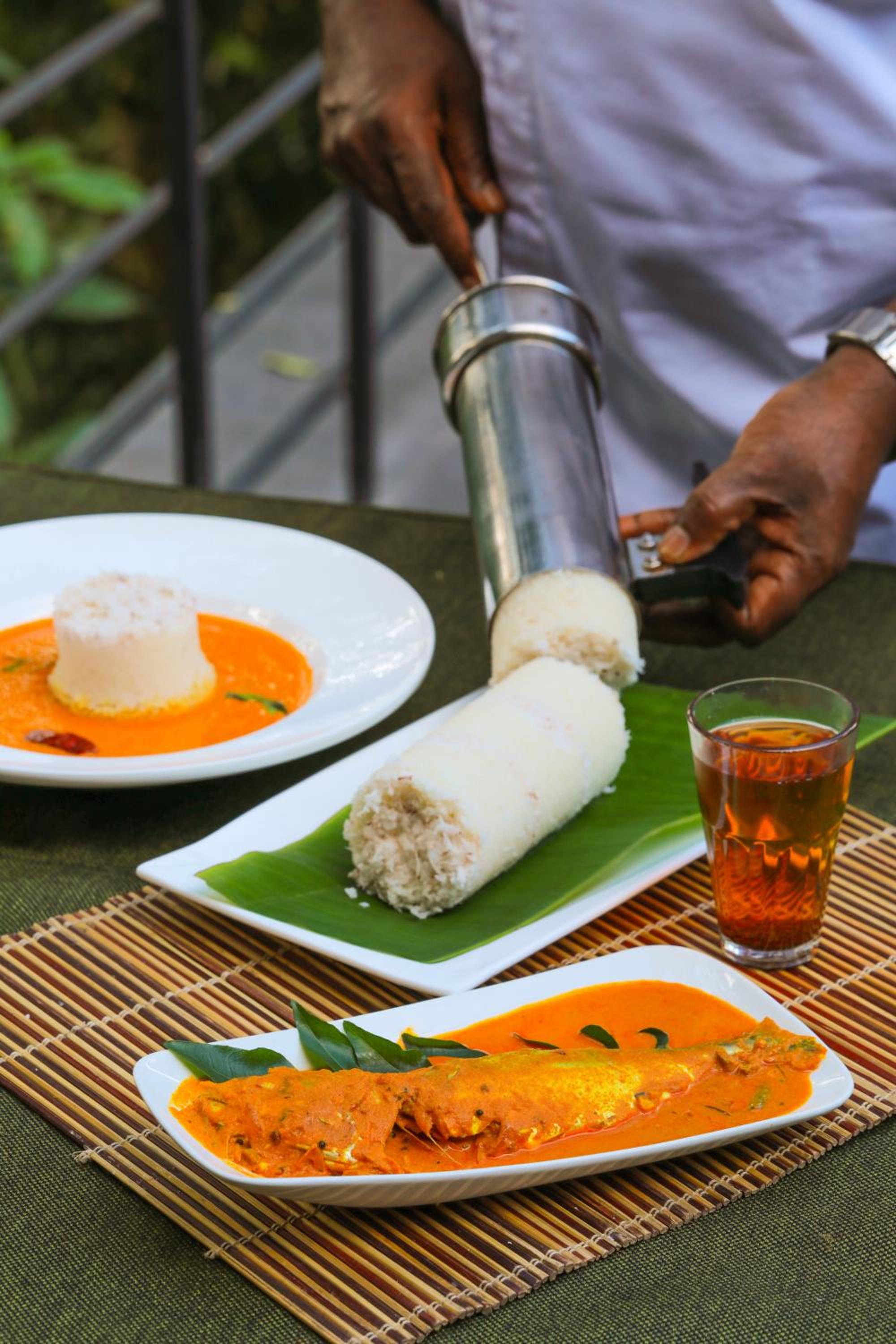 Wayanad Wild - A CGH Earth Experience