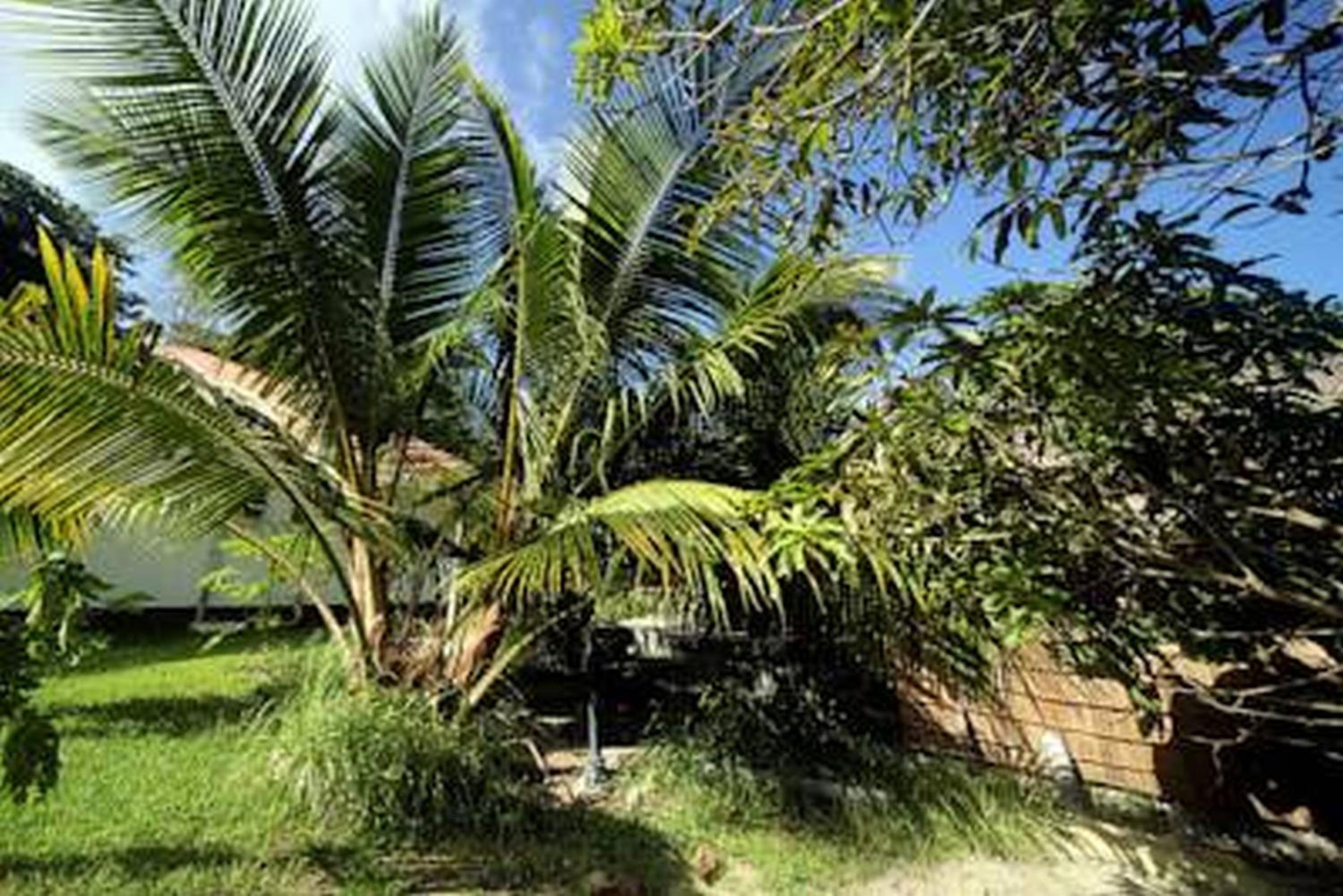 Omusee Self Catering