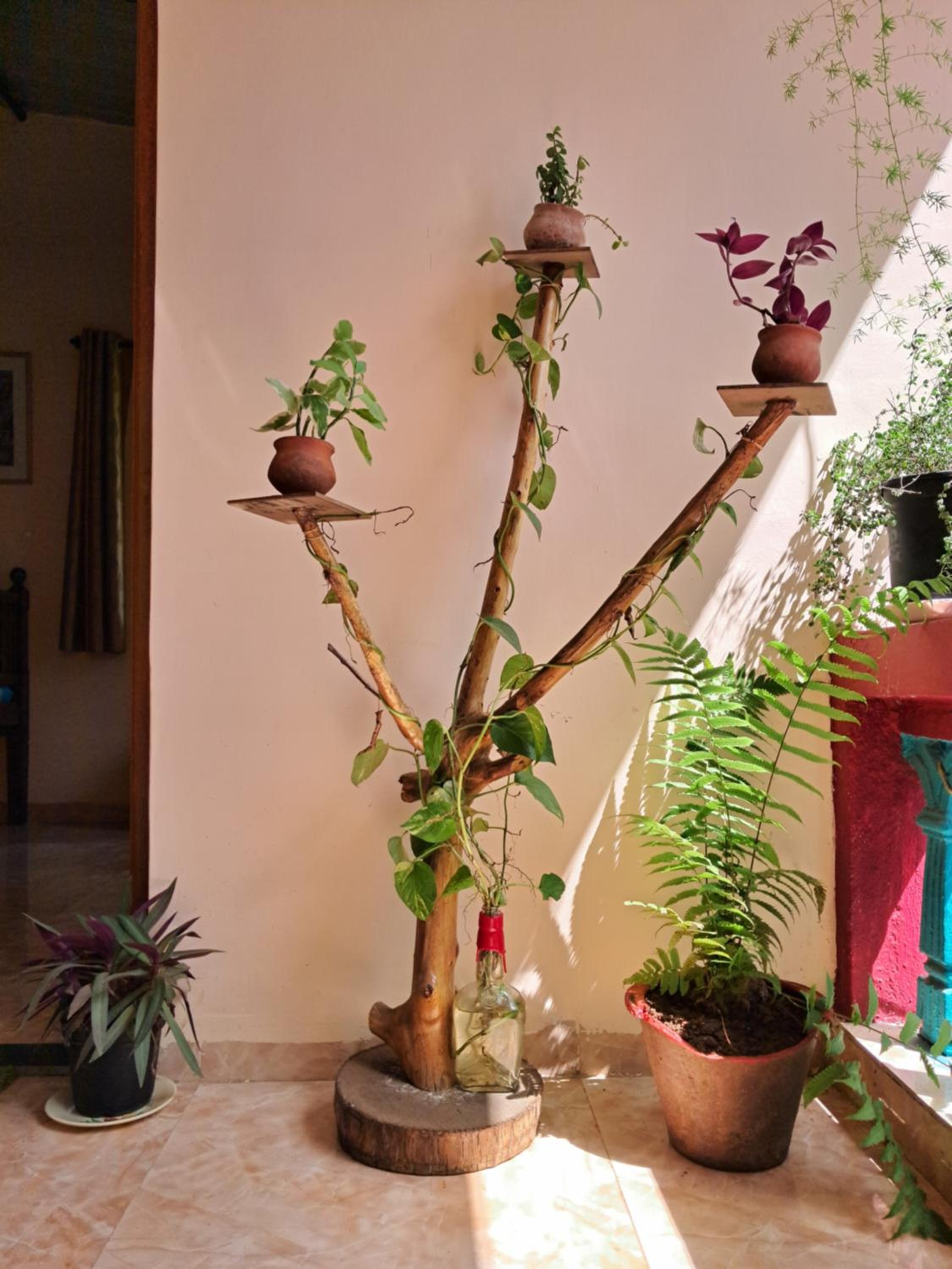 Bageecha B&B- Vaayu, photo 13