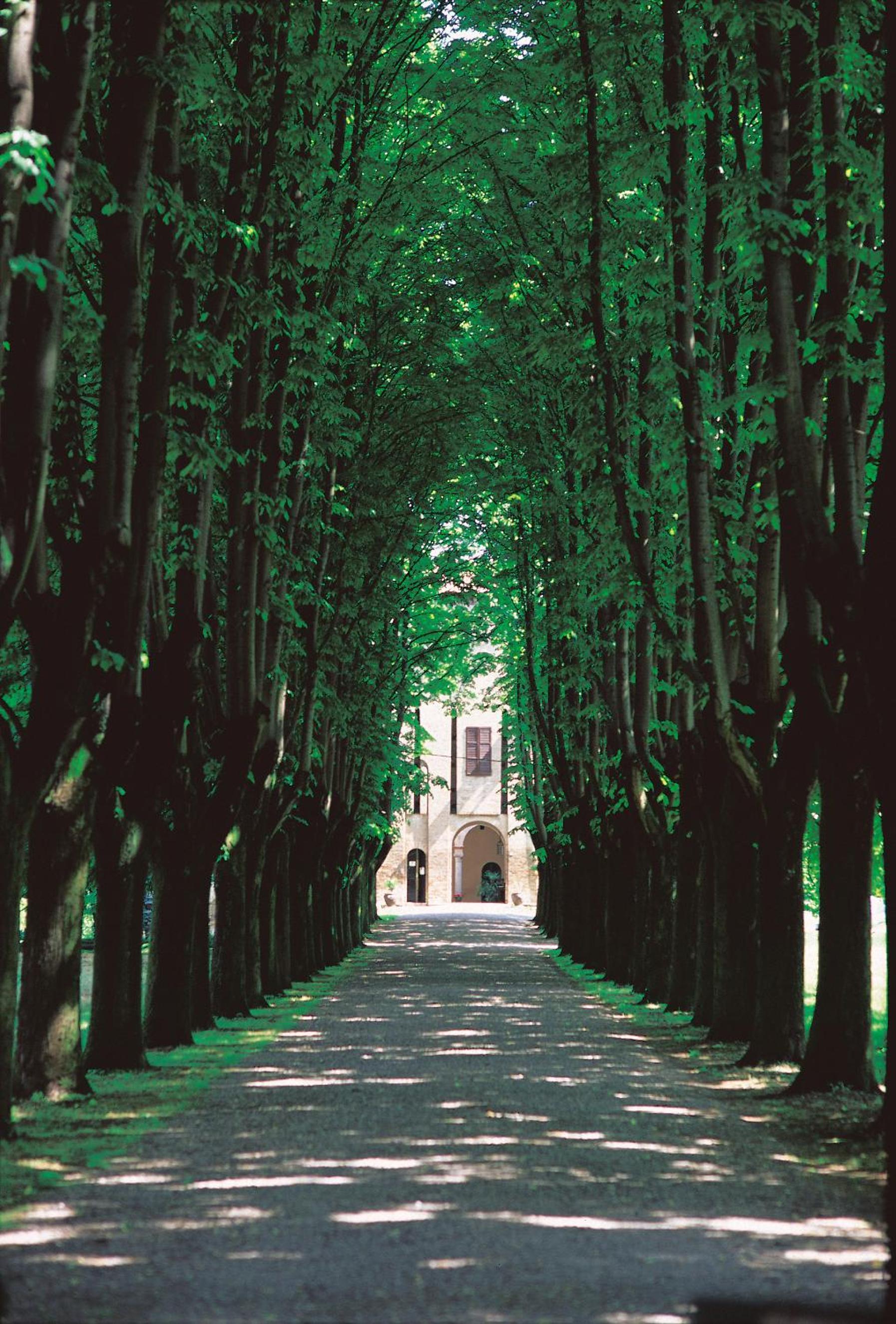 Locanda Del Re Guerriero