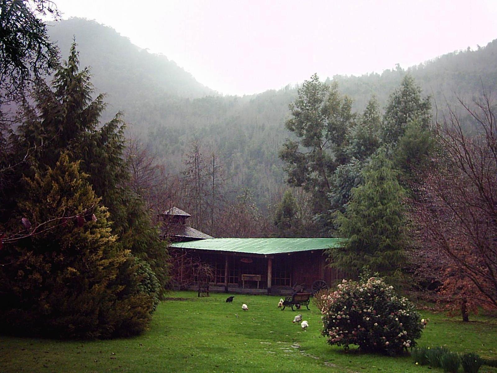 Mavidahue