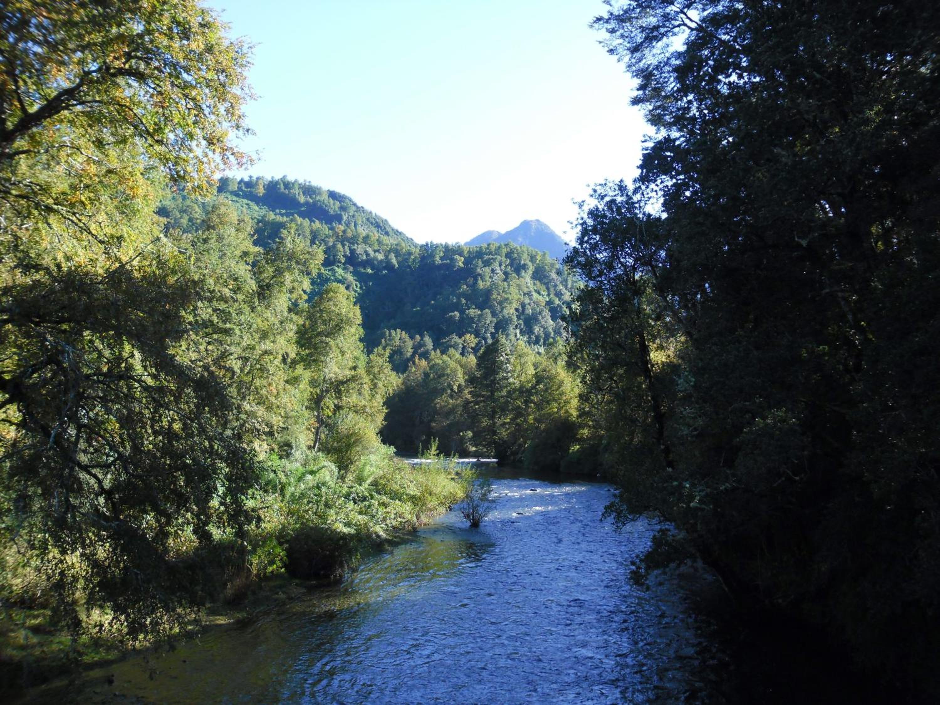 Mavidahue