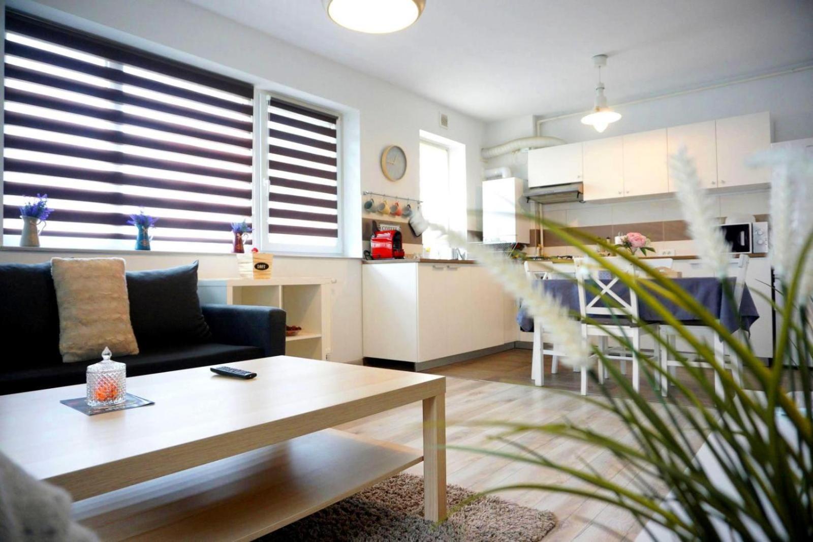 Relaxing Coresi Mall studio free parking