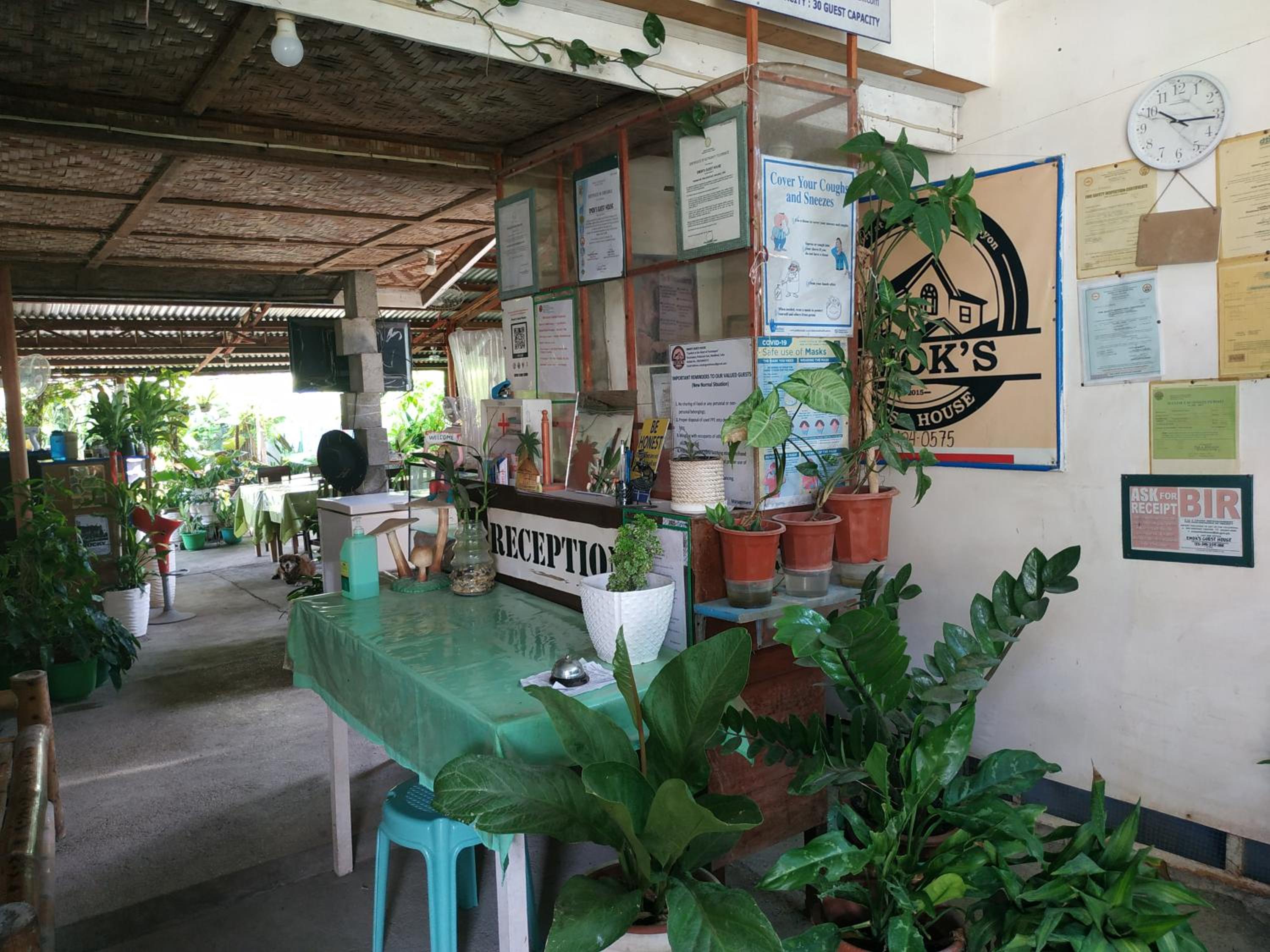 Photo 41