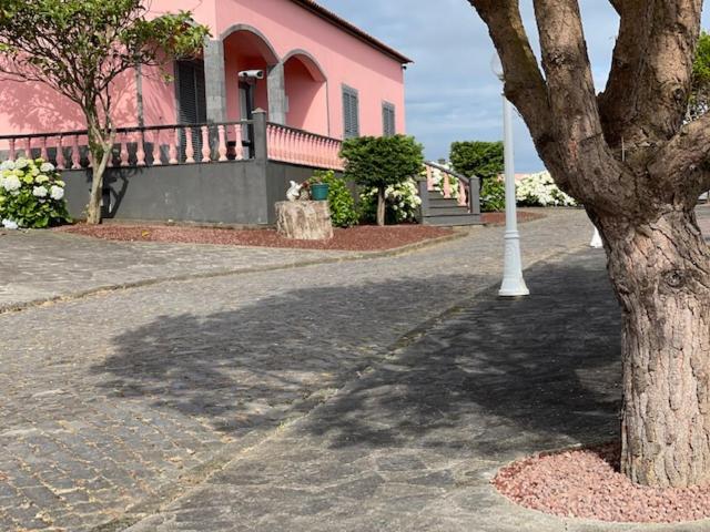 Quinta do Avô Dimas - Rural Home - São Brás view 5