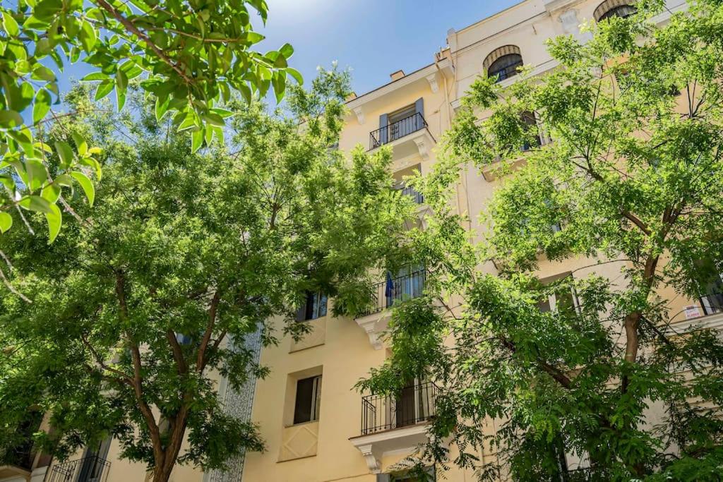 Quiet and cosy flat in N. Salamanca view 3