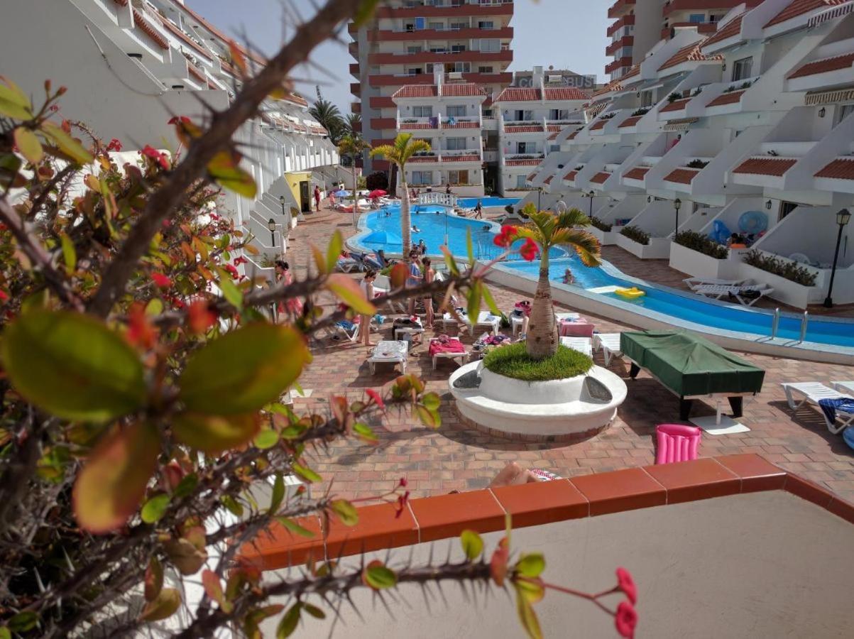 Penthouse ar okeana skatu