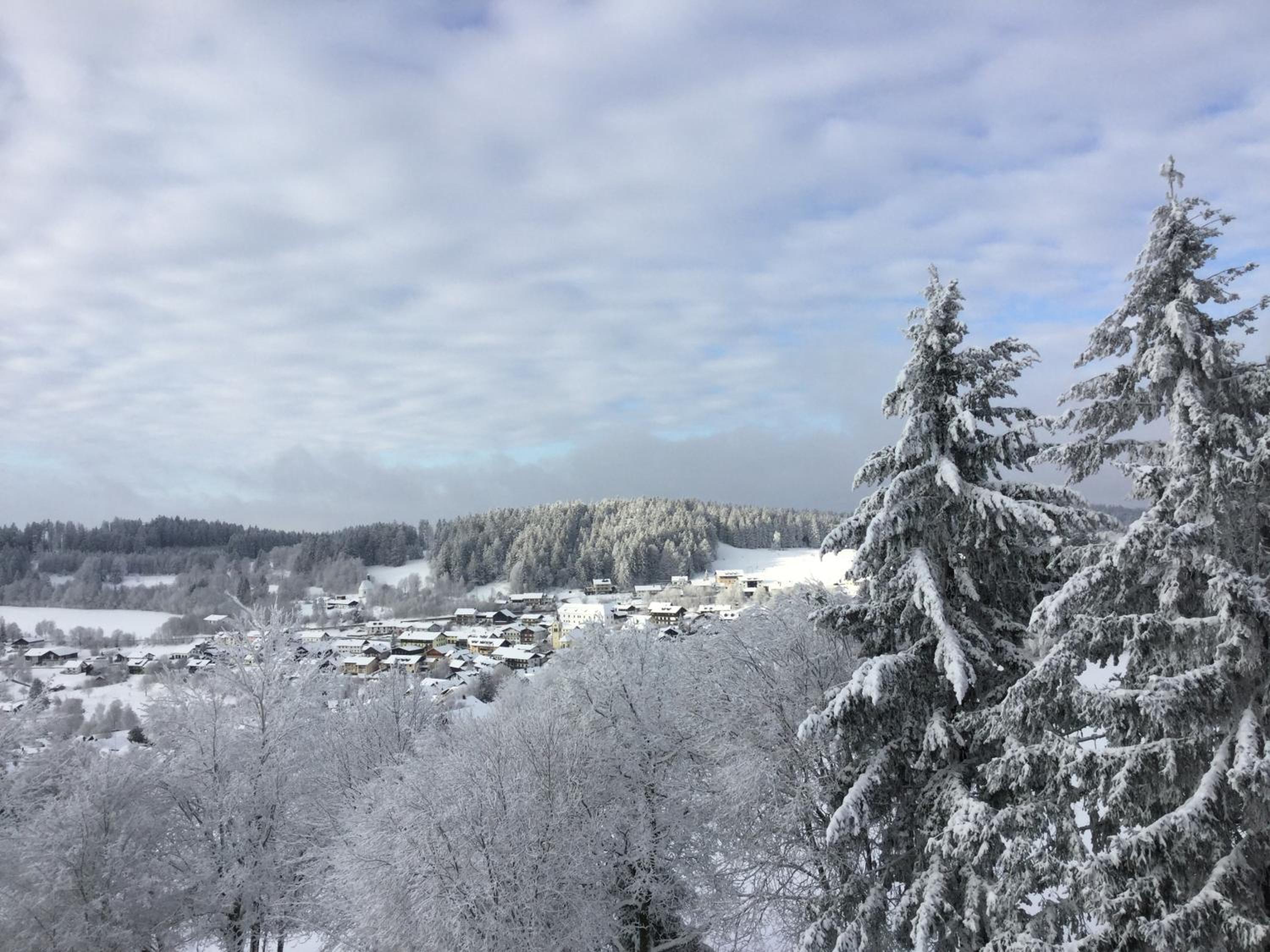 FERIENWOHNUNG FORSTPANORAMA