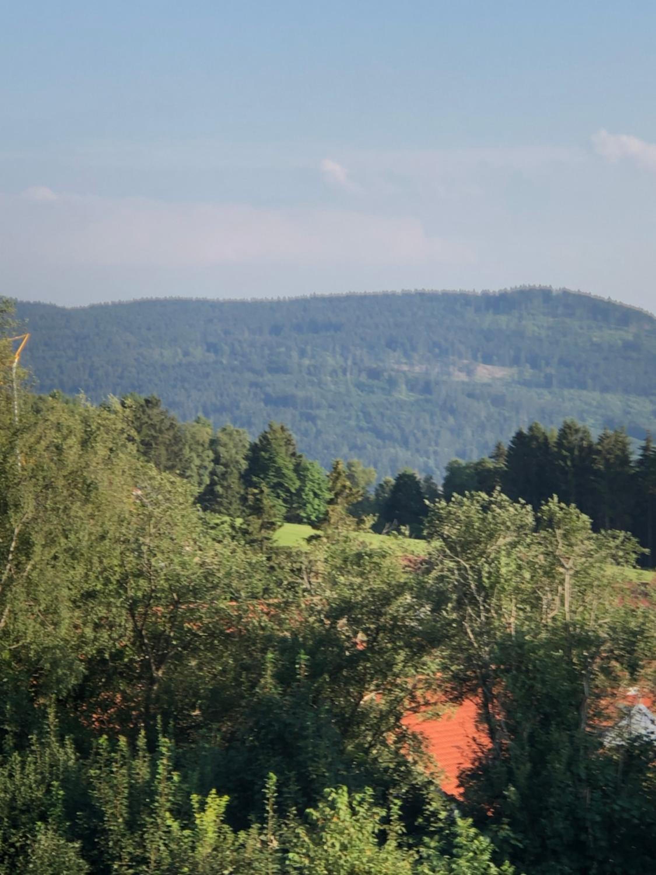 FERIENWOHNUNG FORSTPANORAMA