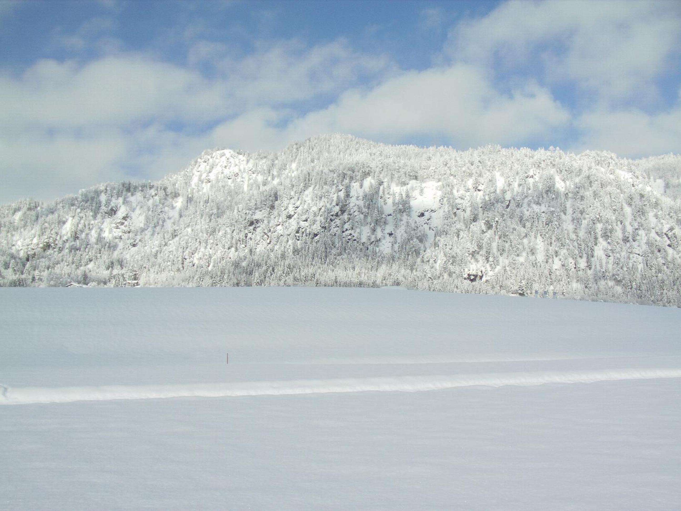 Photo 45