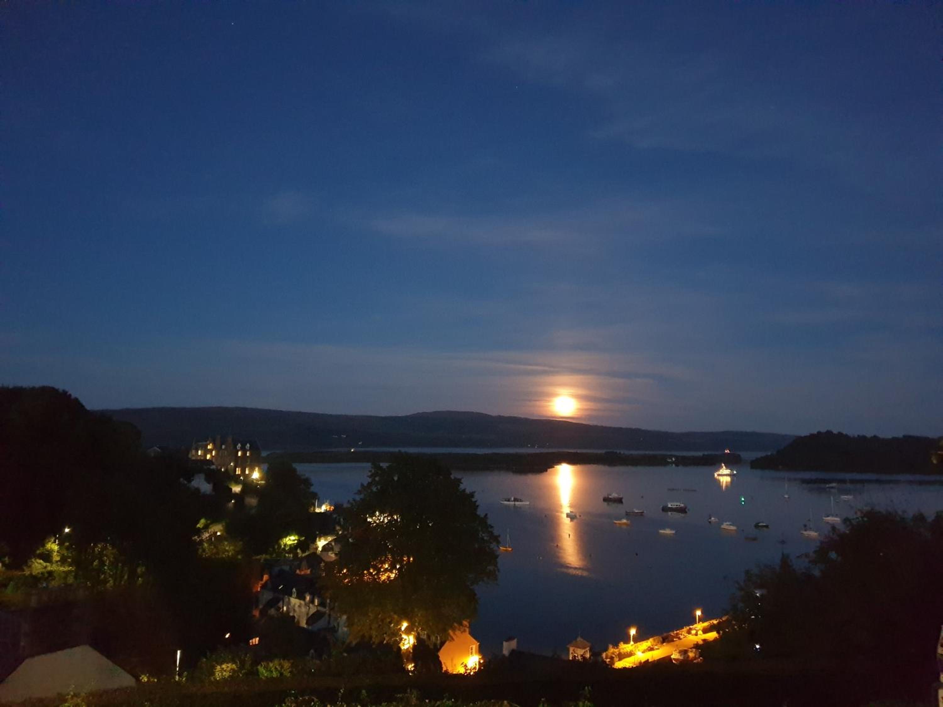 Harbour view