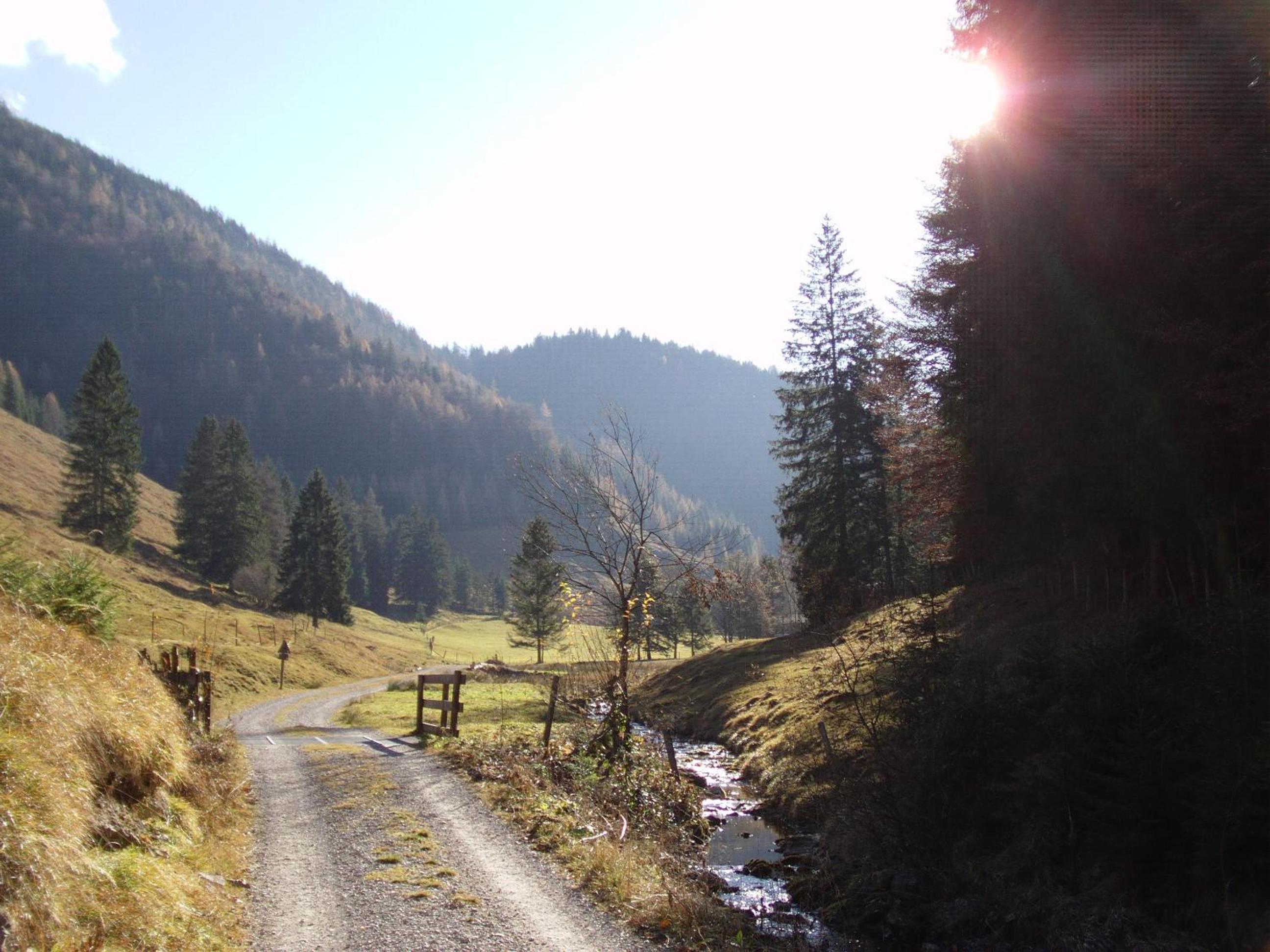 Photo 44