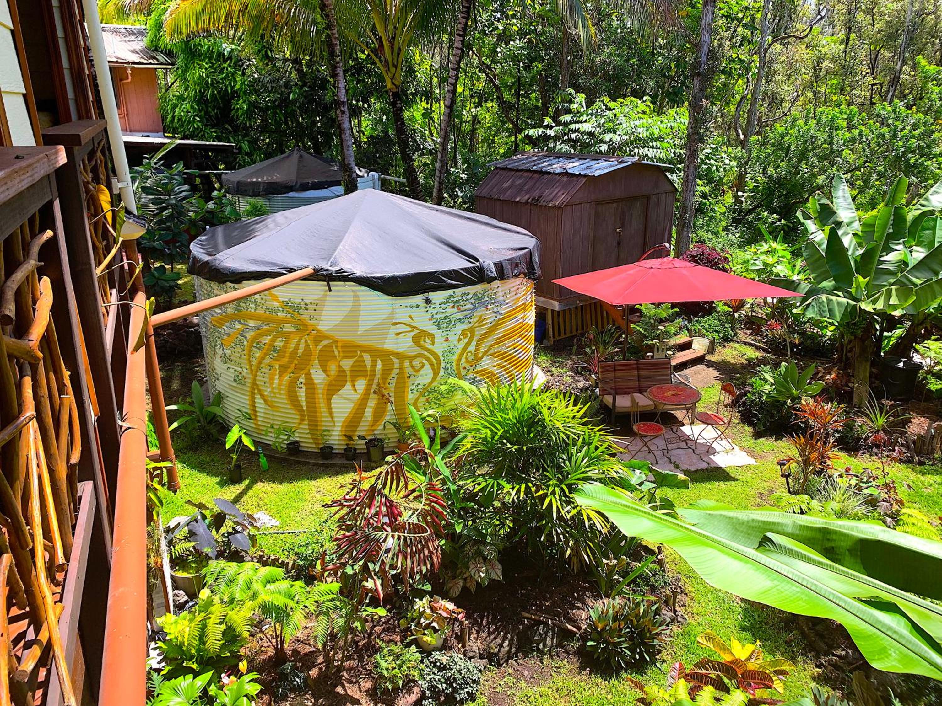 Phoenix Garden view 2