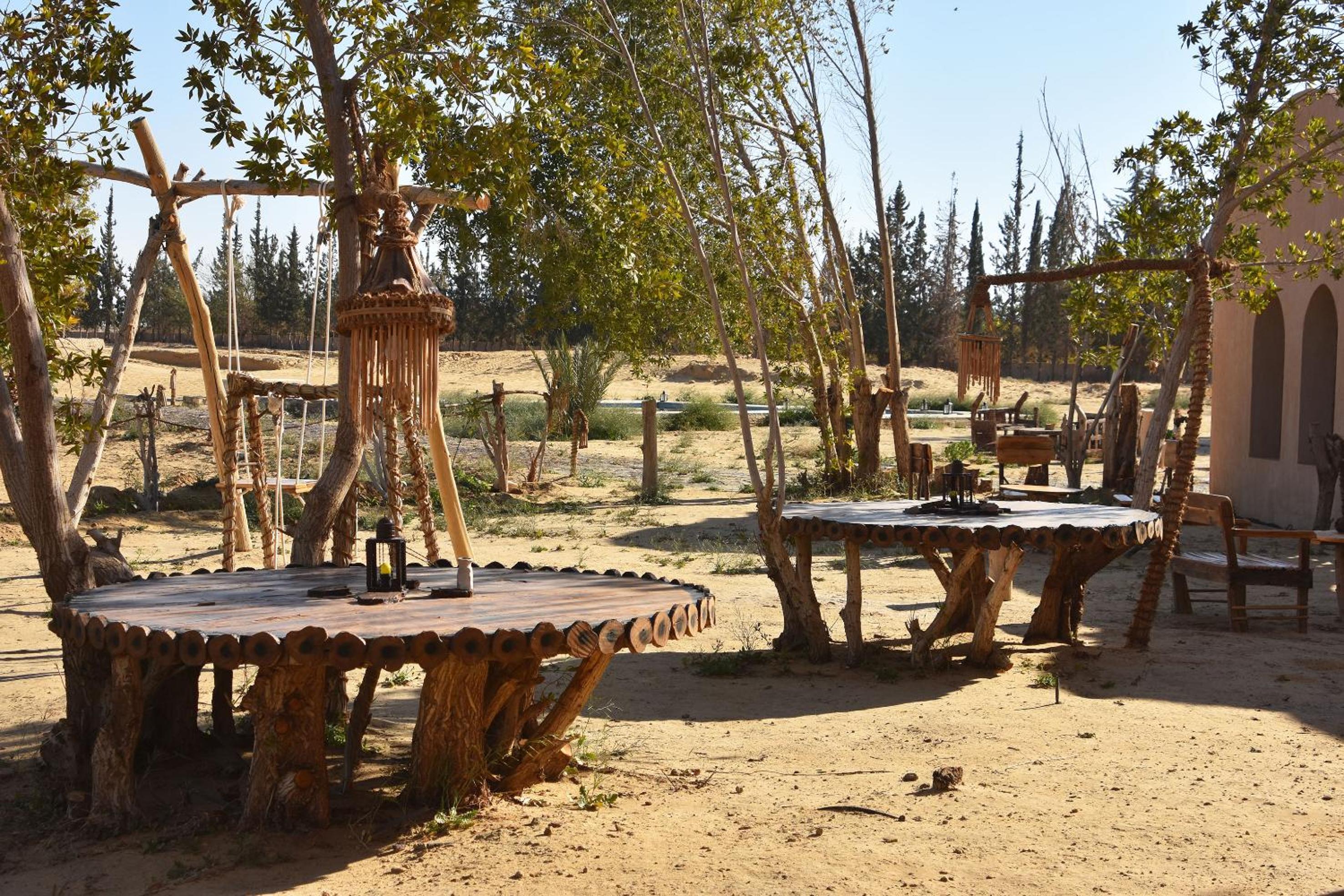 Tzila Bahariya