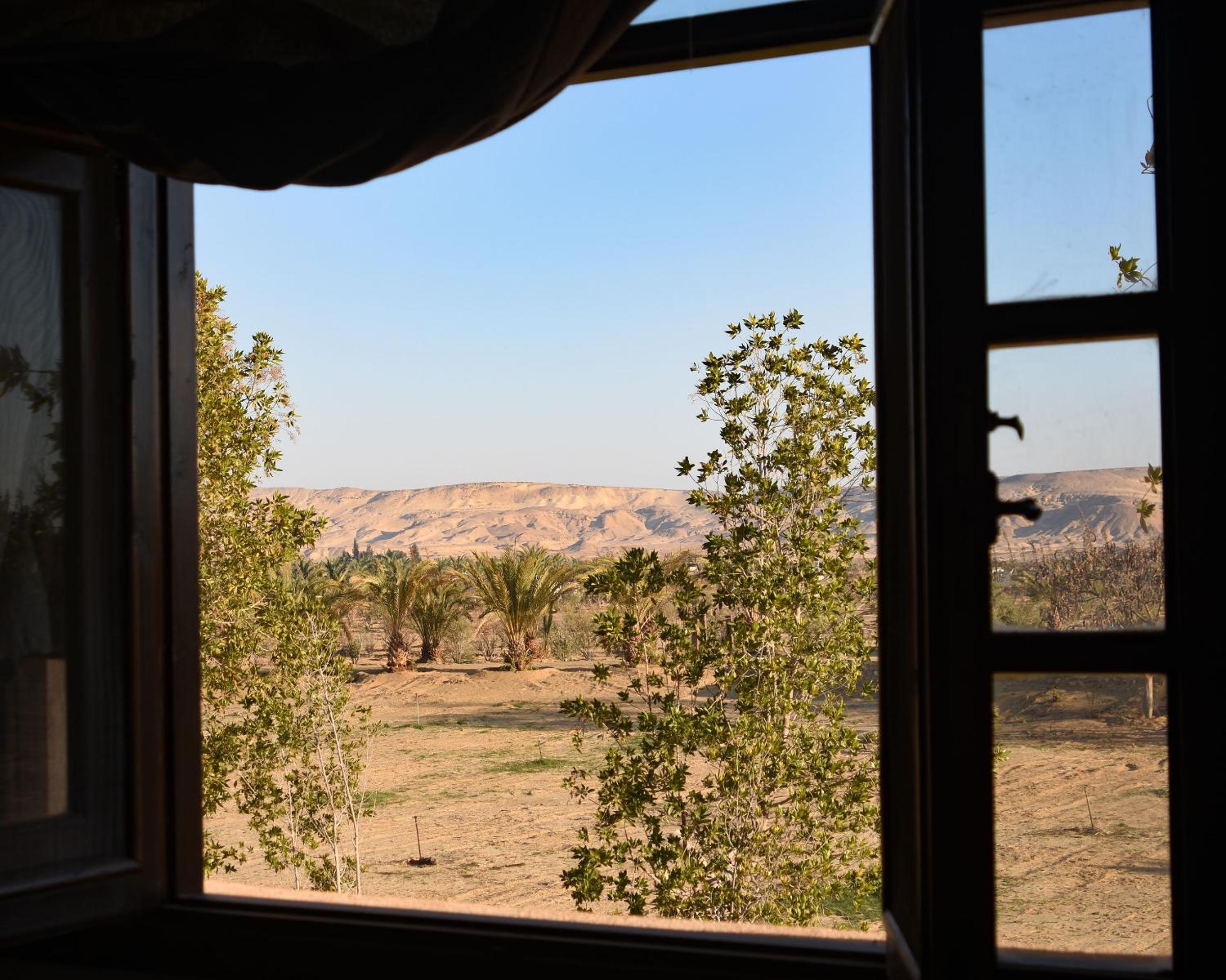 Tzila Bahariya