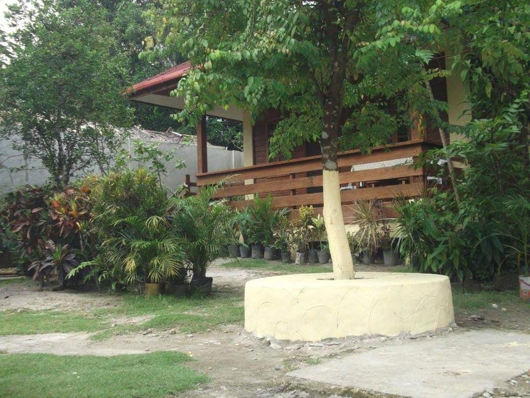 Photo 17