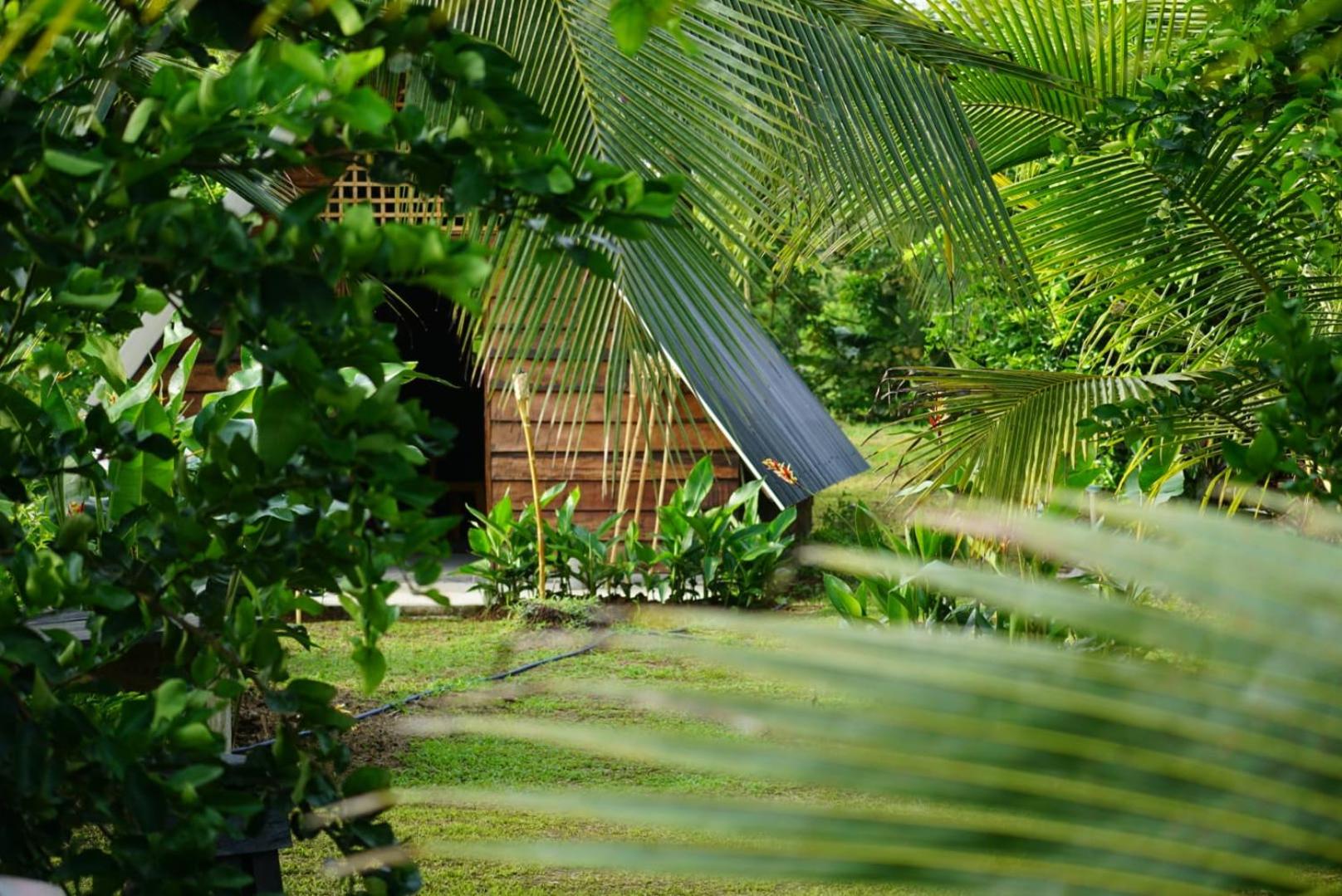 Bewak CR view 5