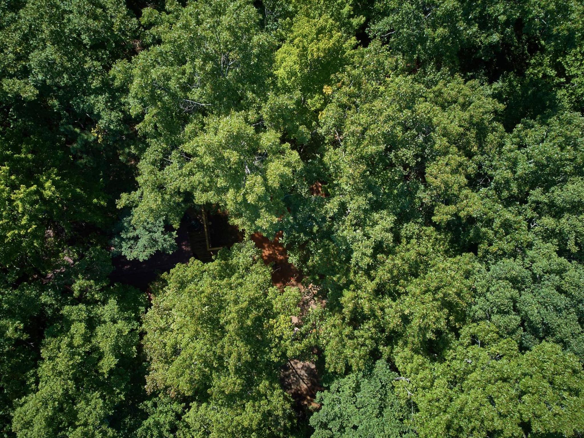Gatlinburg Adventure Cabins