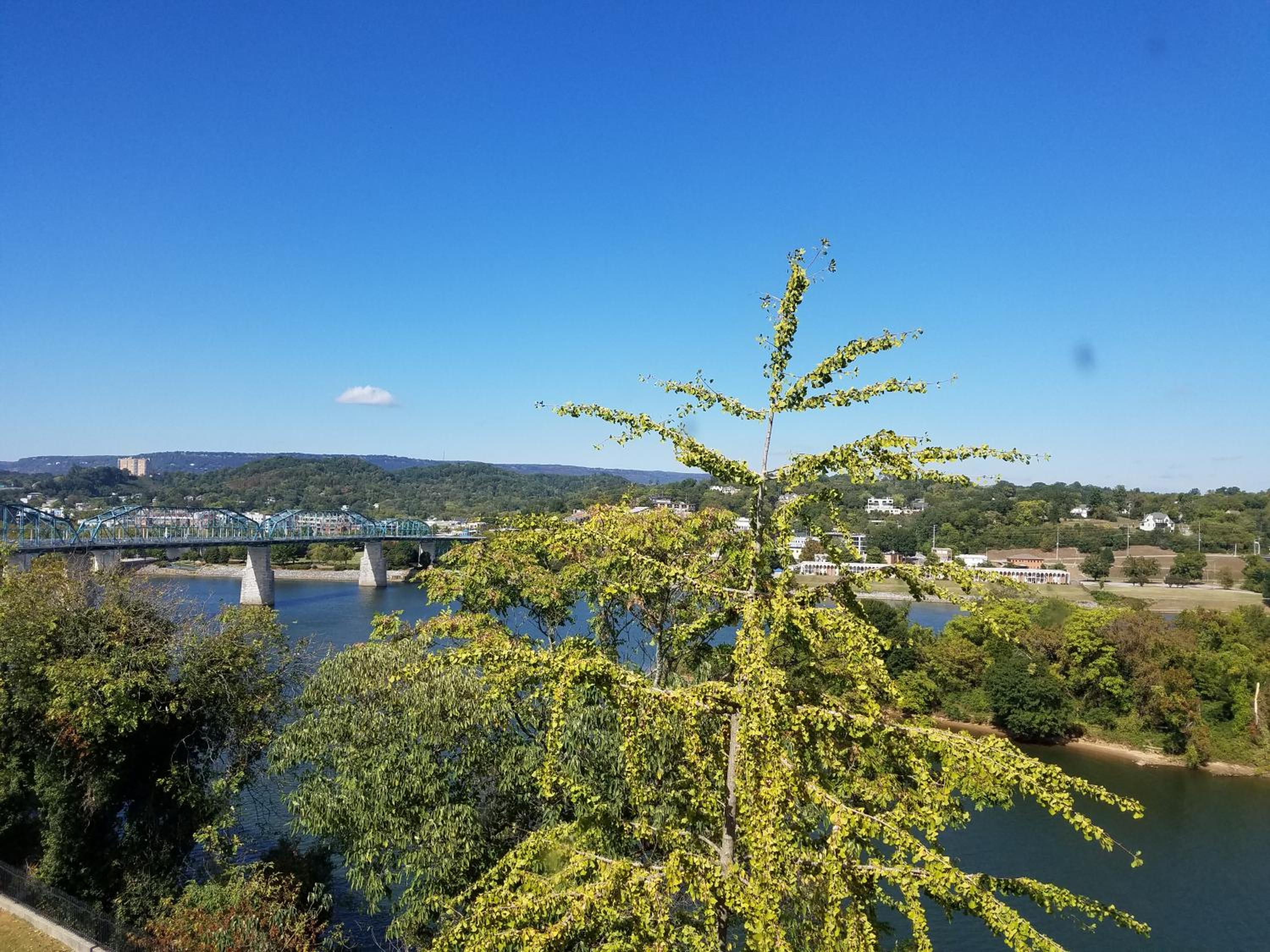 Bluff View Inn