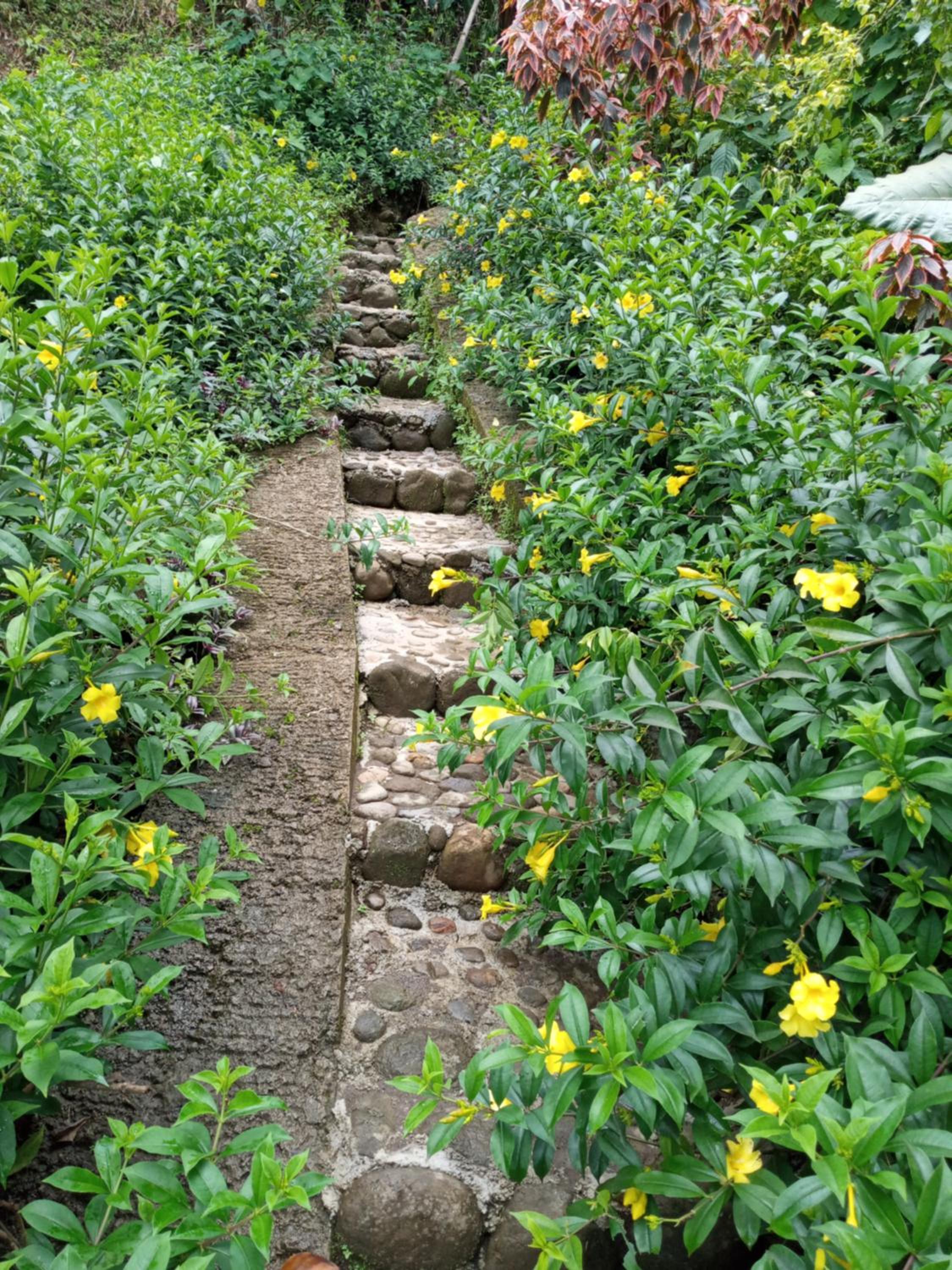 Photo 21