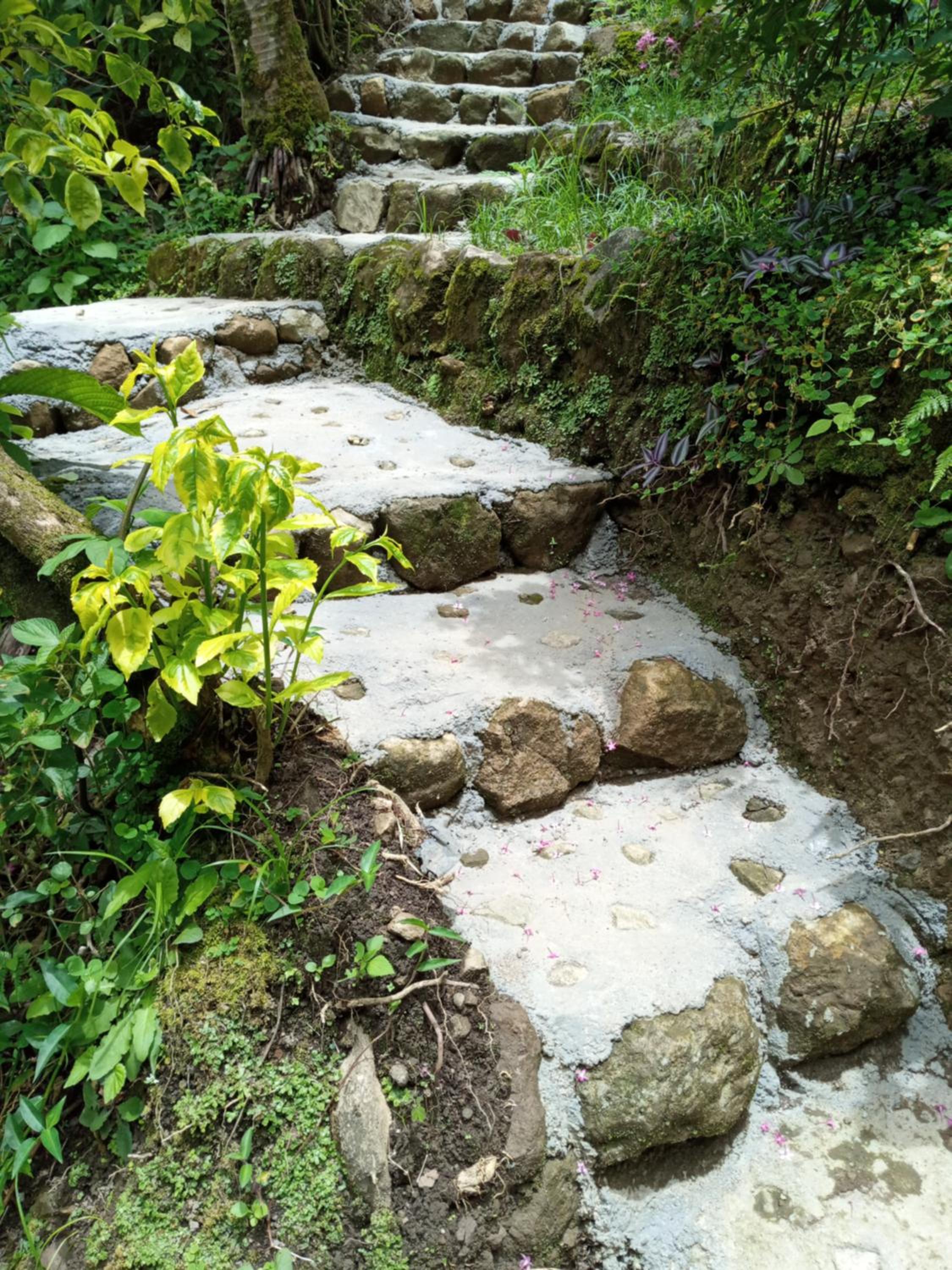 Berkey's Jungle Paradise view 3