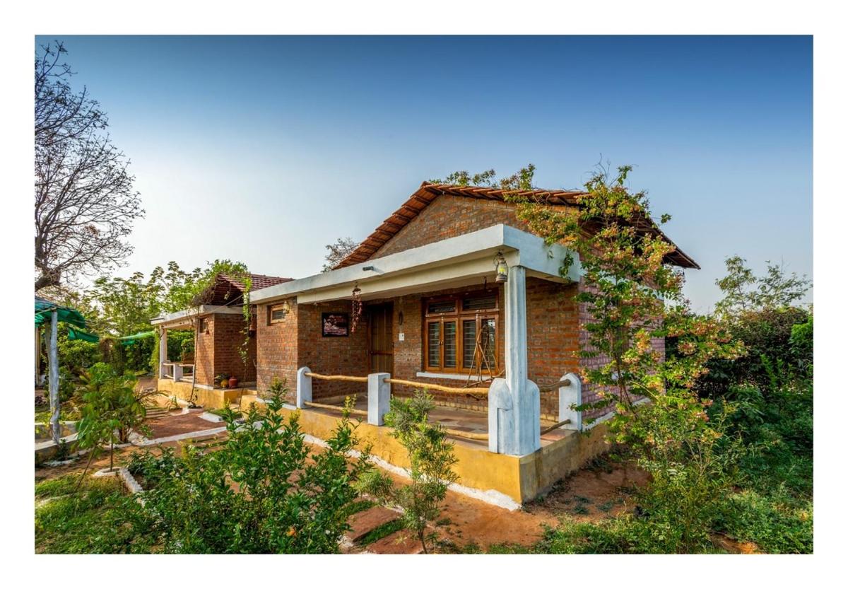Mahua hill view Homestay view 5