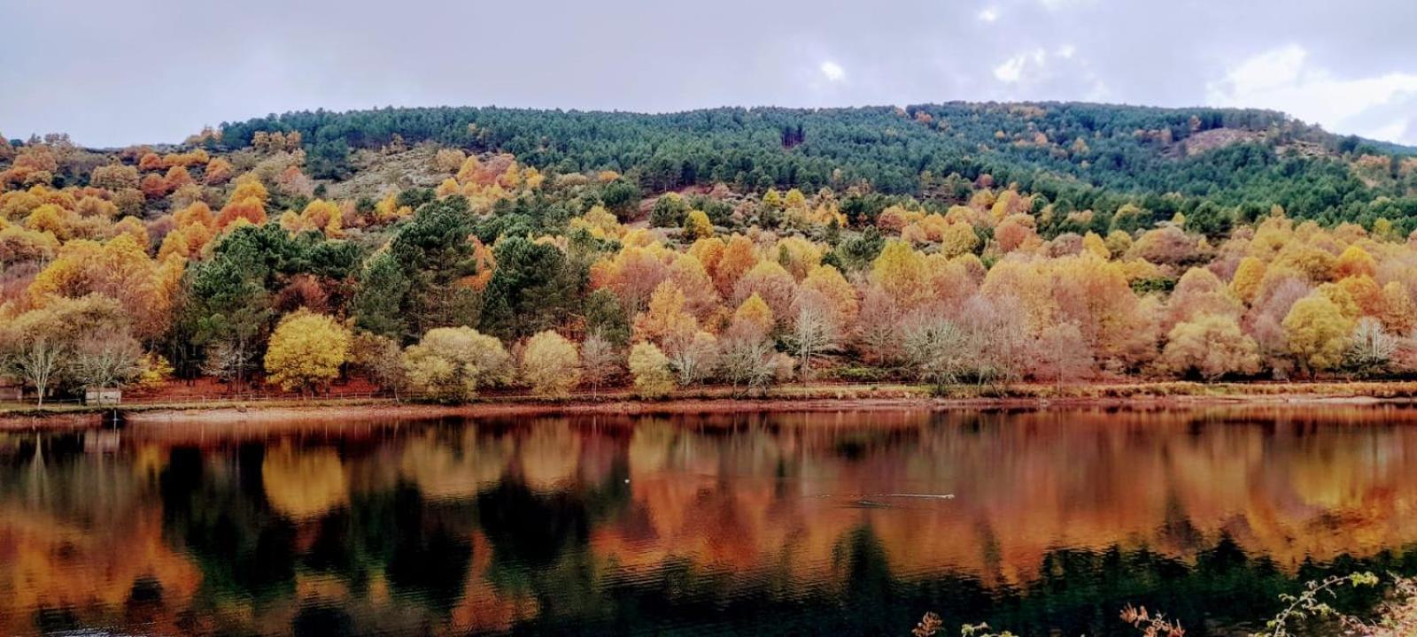 Apartamento El Corazón de Gredos