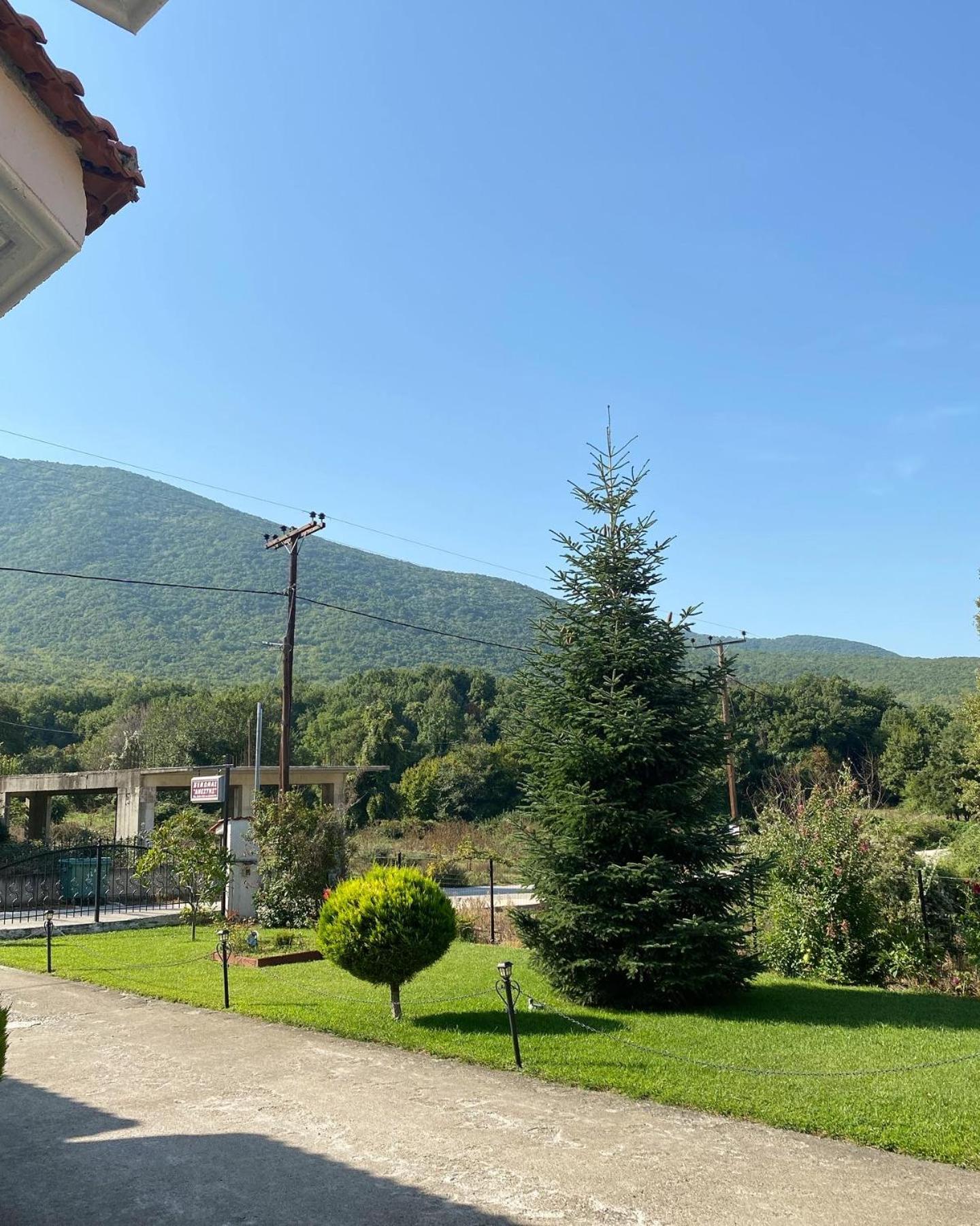 Guesthouse Anestis