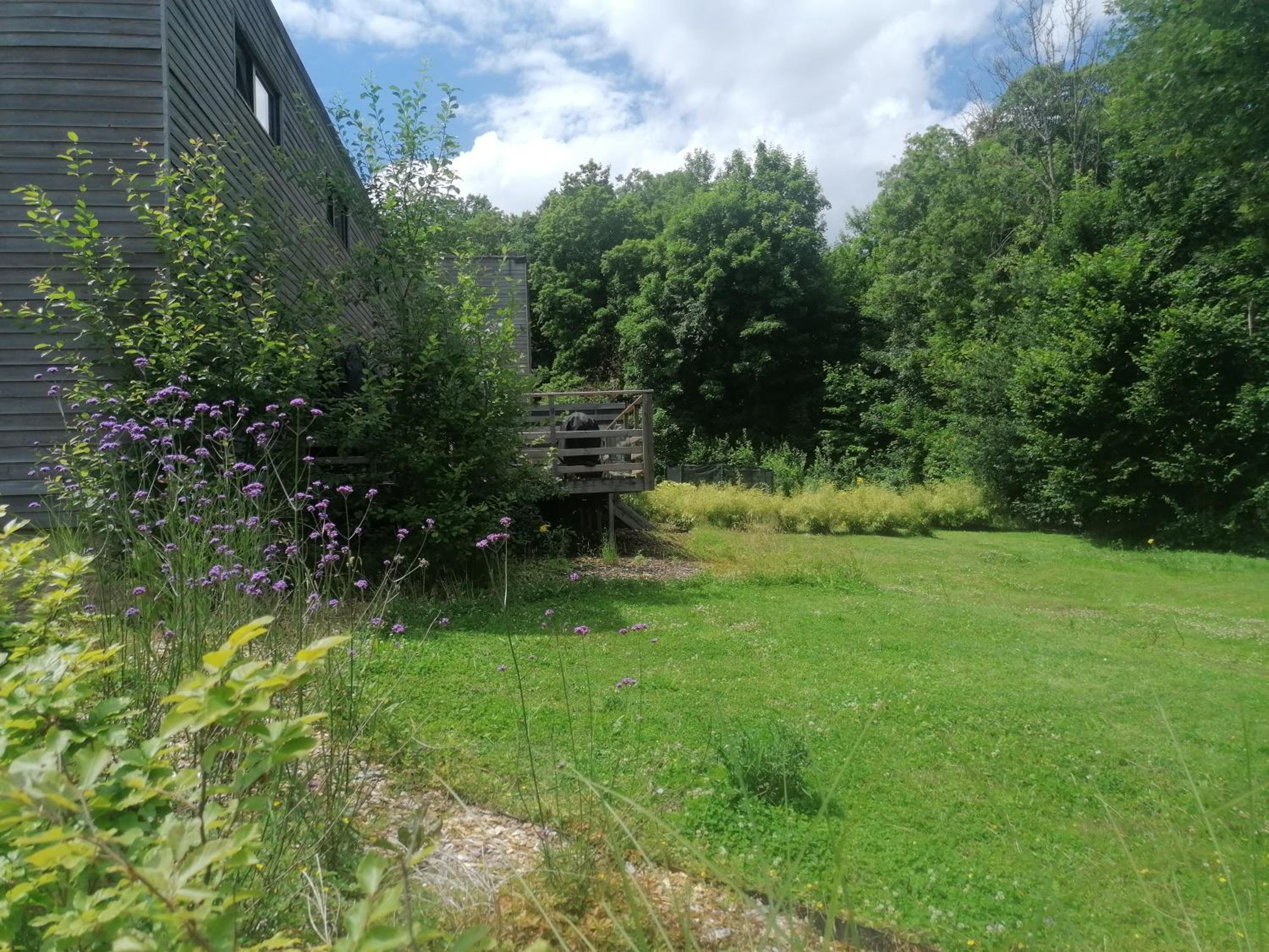 Photo 17