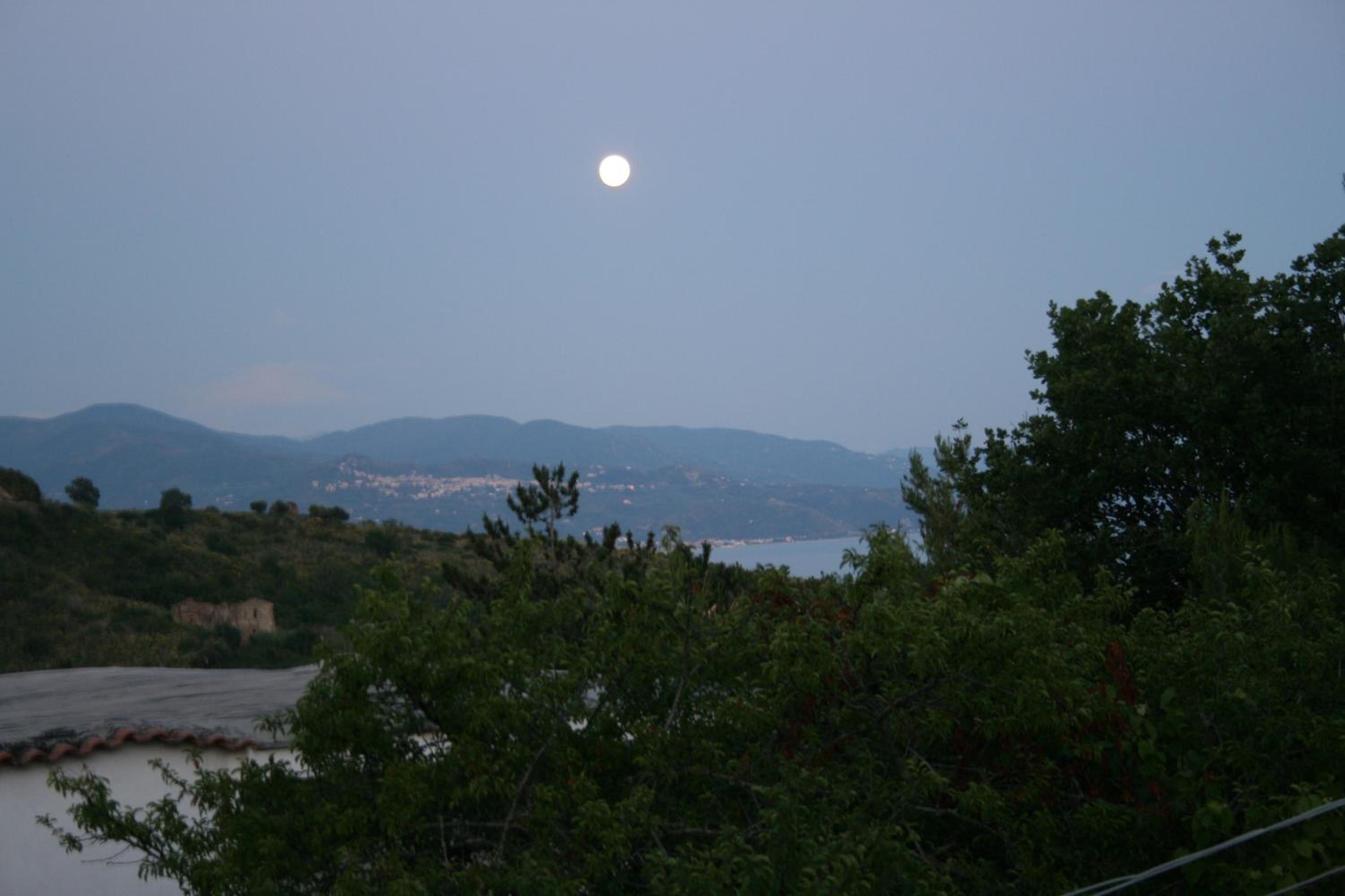 Photo 24