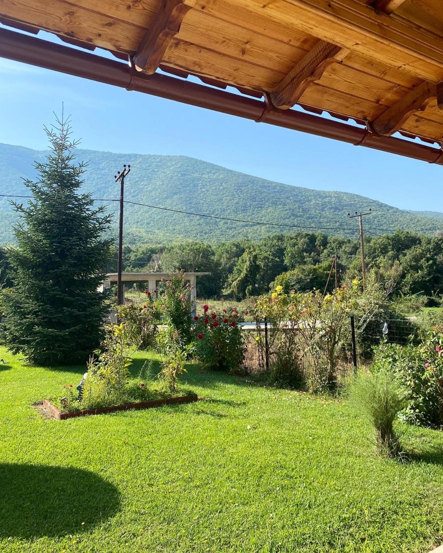 Guesthouse Anestis