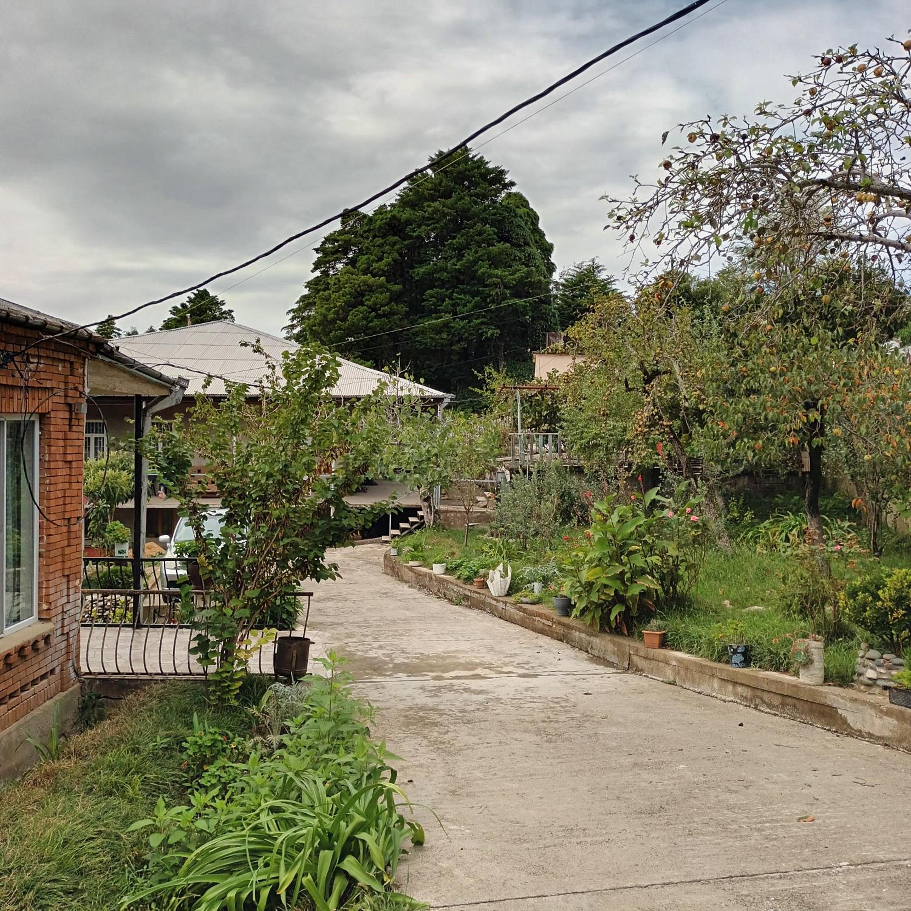Magdan house, photo 86