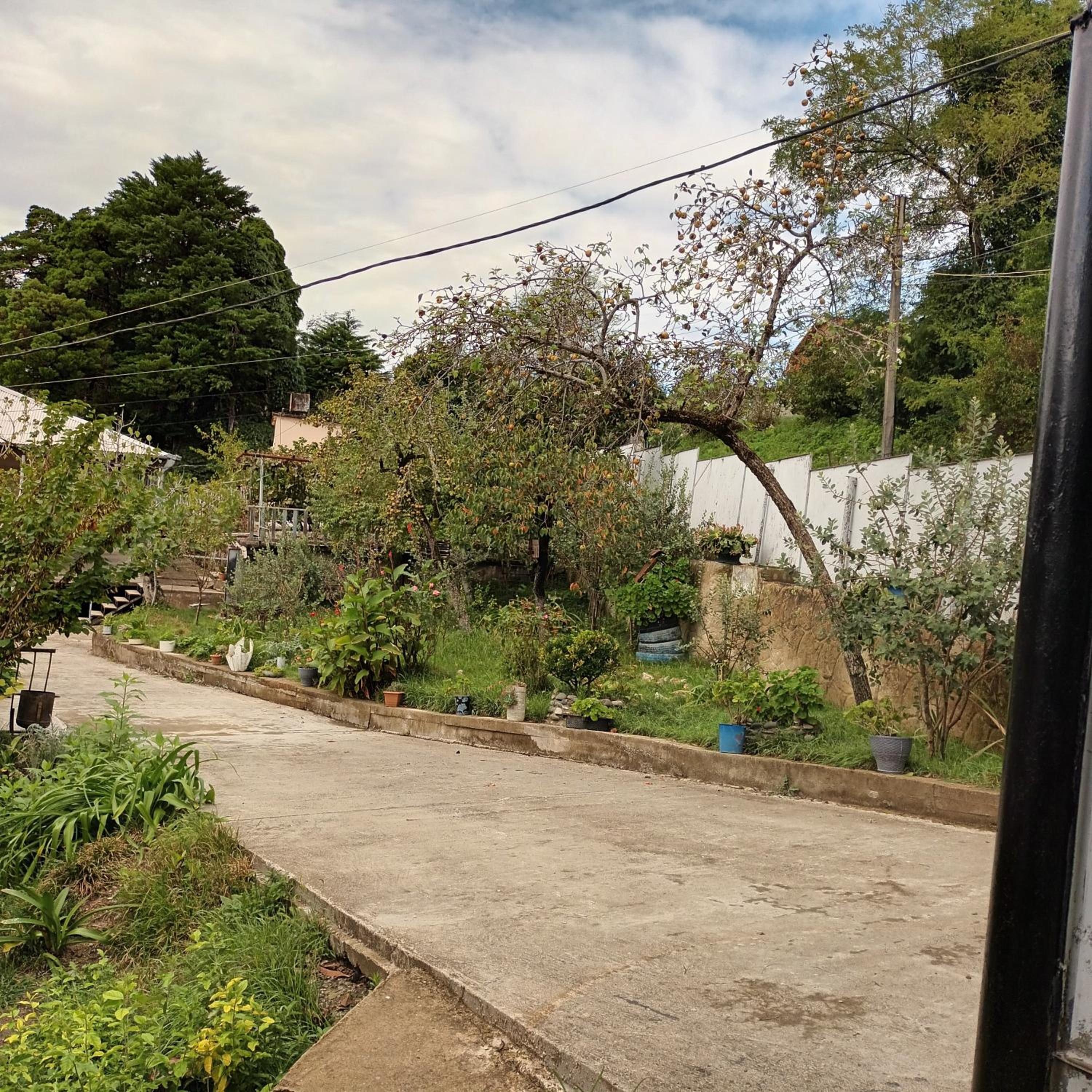Magdan house, photo 89