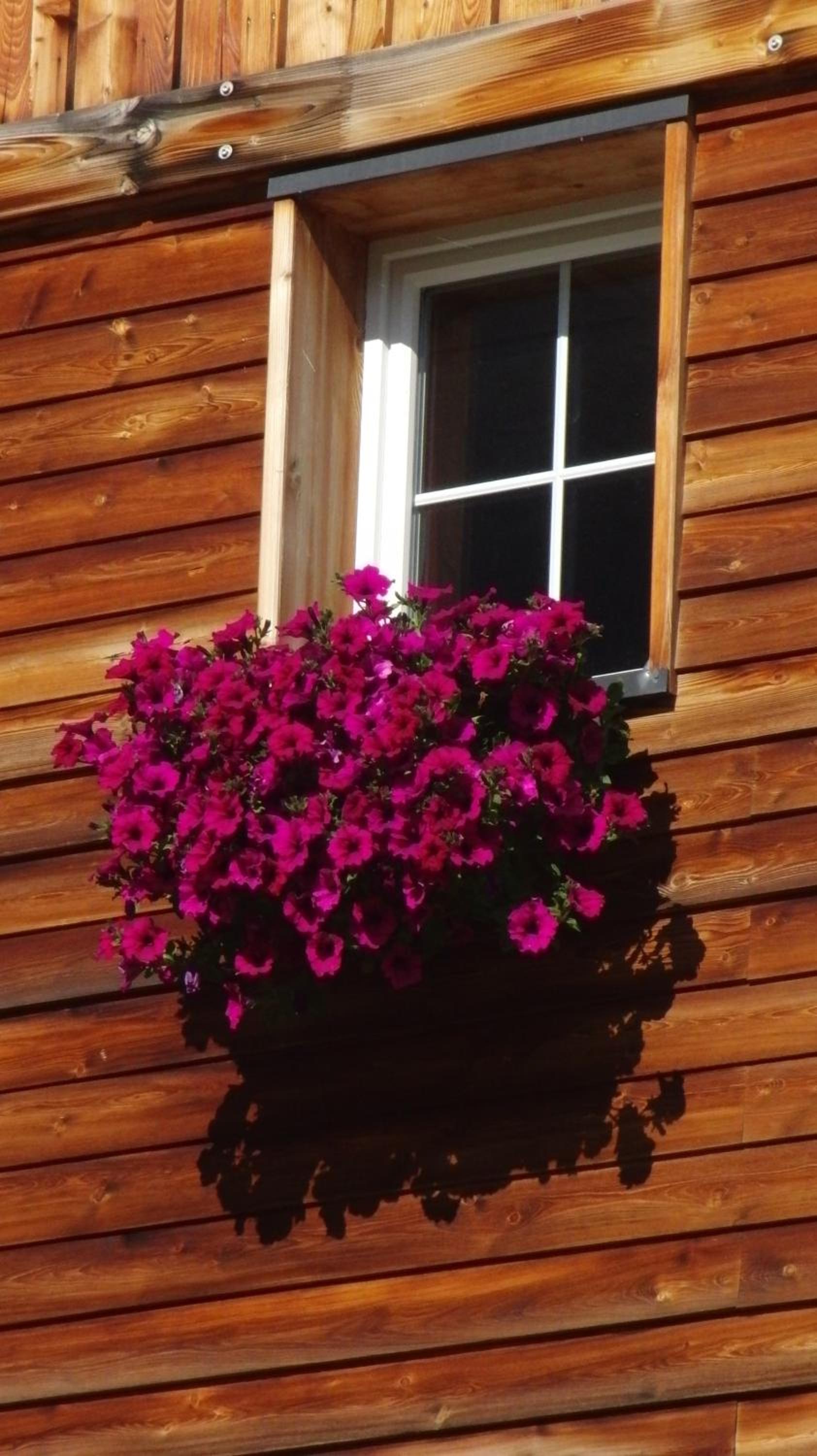 Haus Oberwirl
