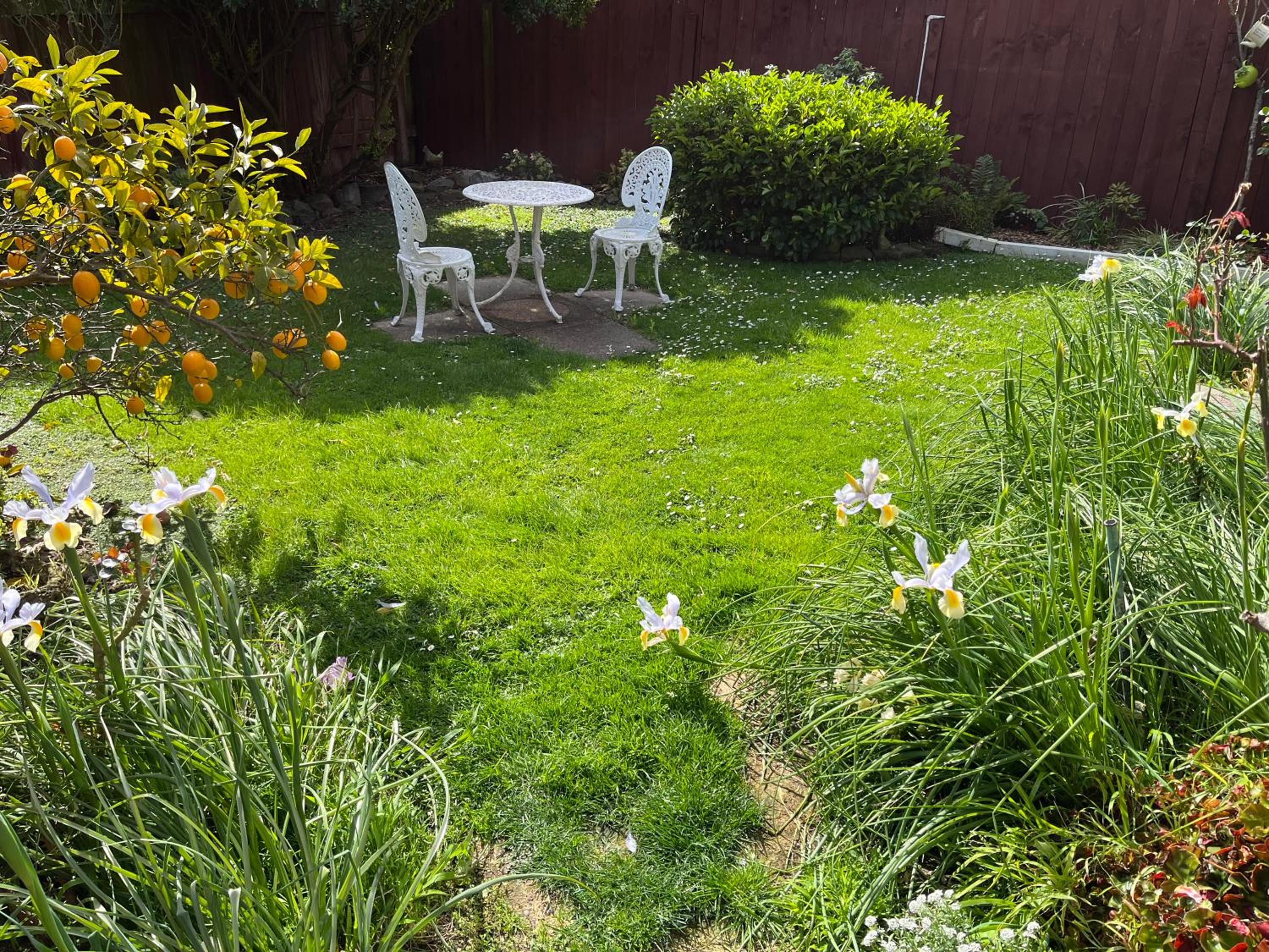 Photo 17