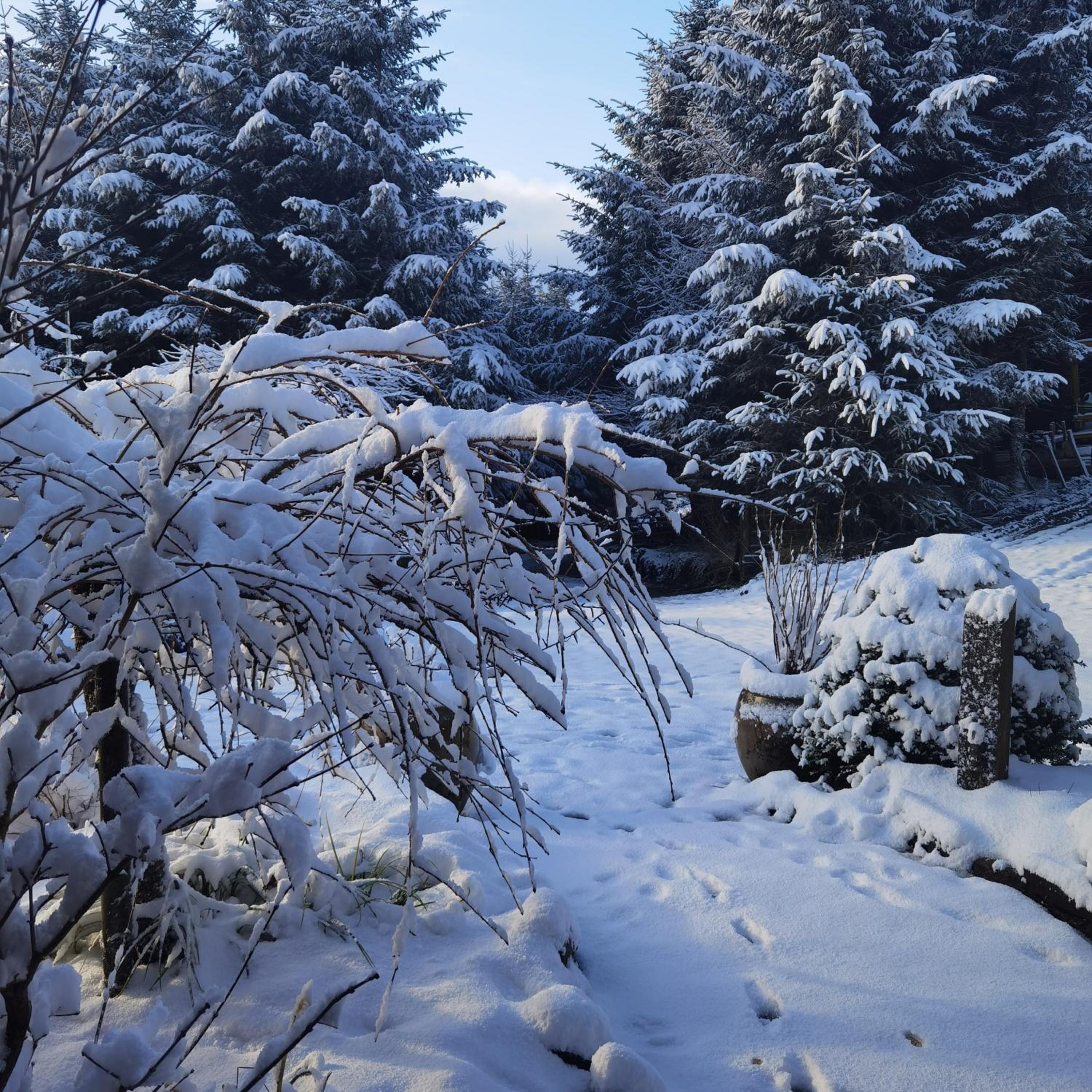 Retreat Lodge view 4