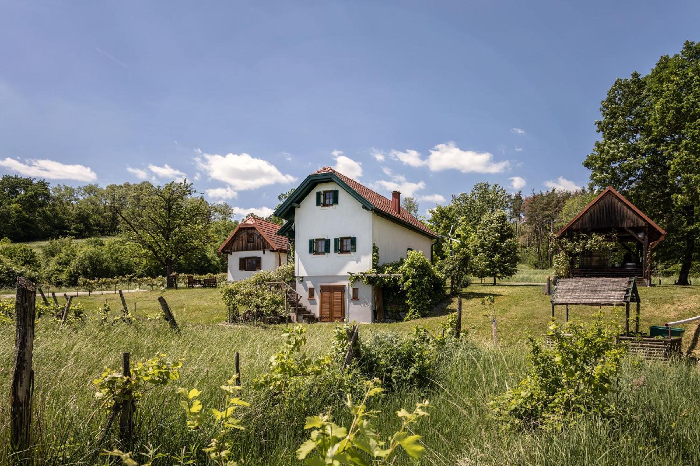 Kellerstöckl Postrumer Weinberg 49